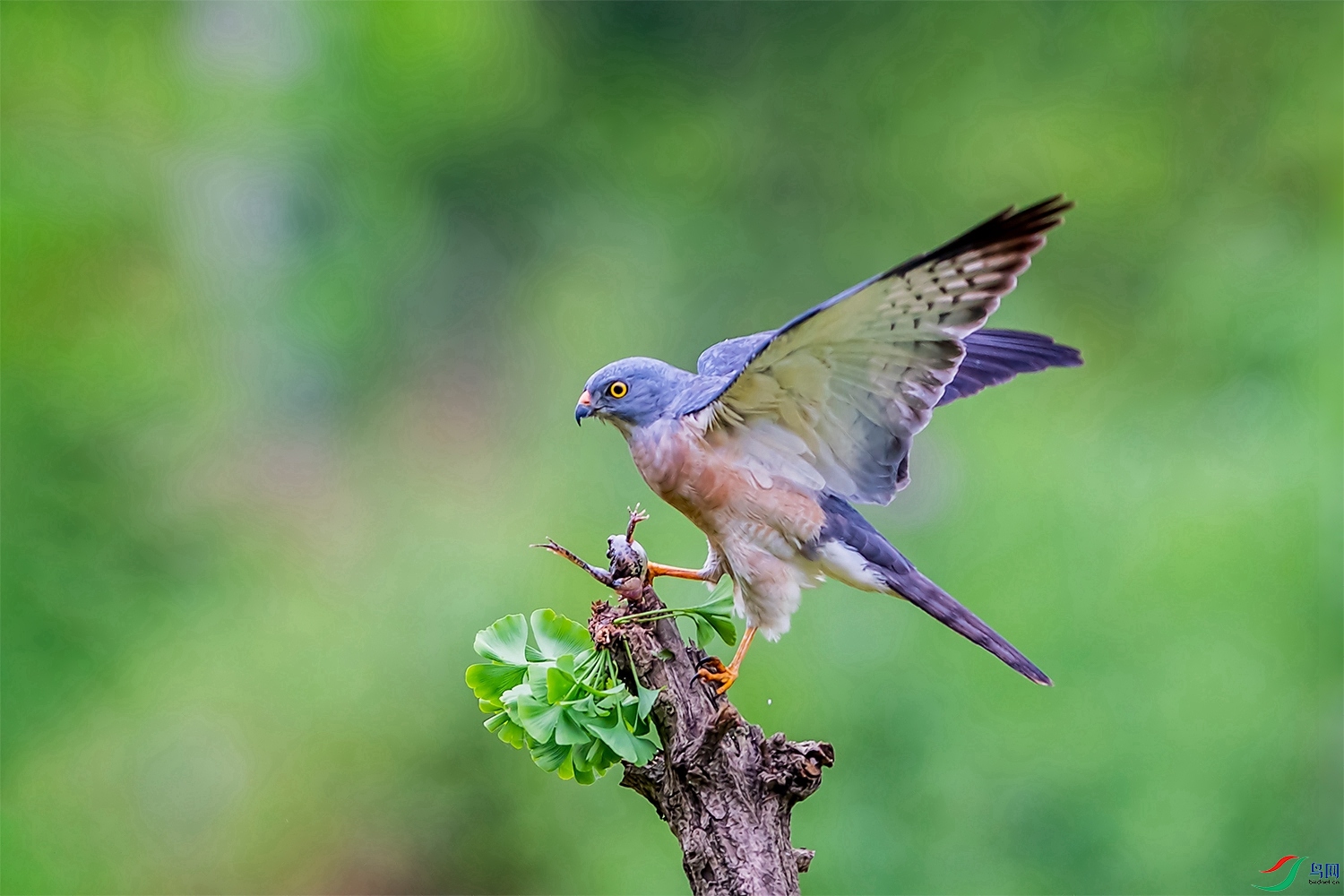 DSC_5723.jpg