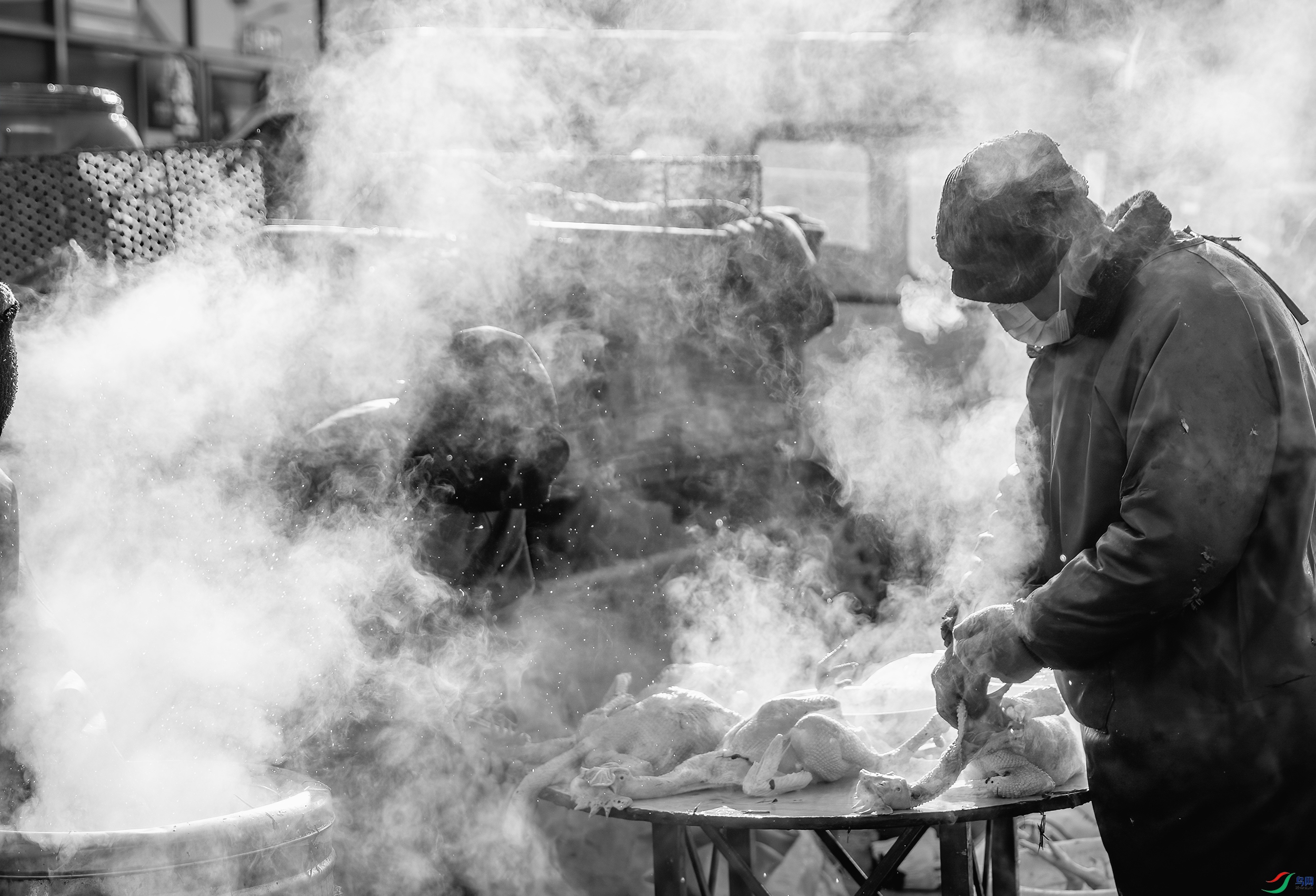 CB0A7147 ����.jpg