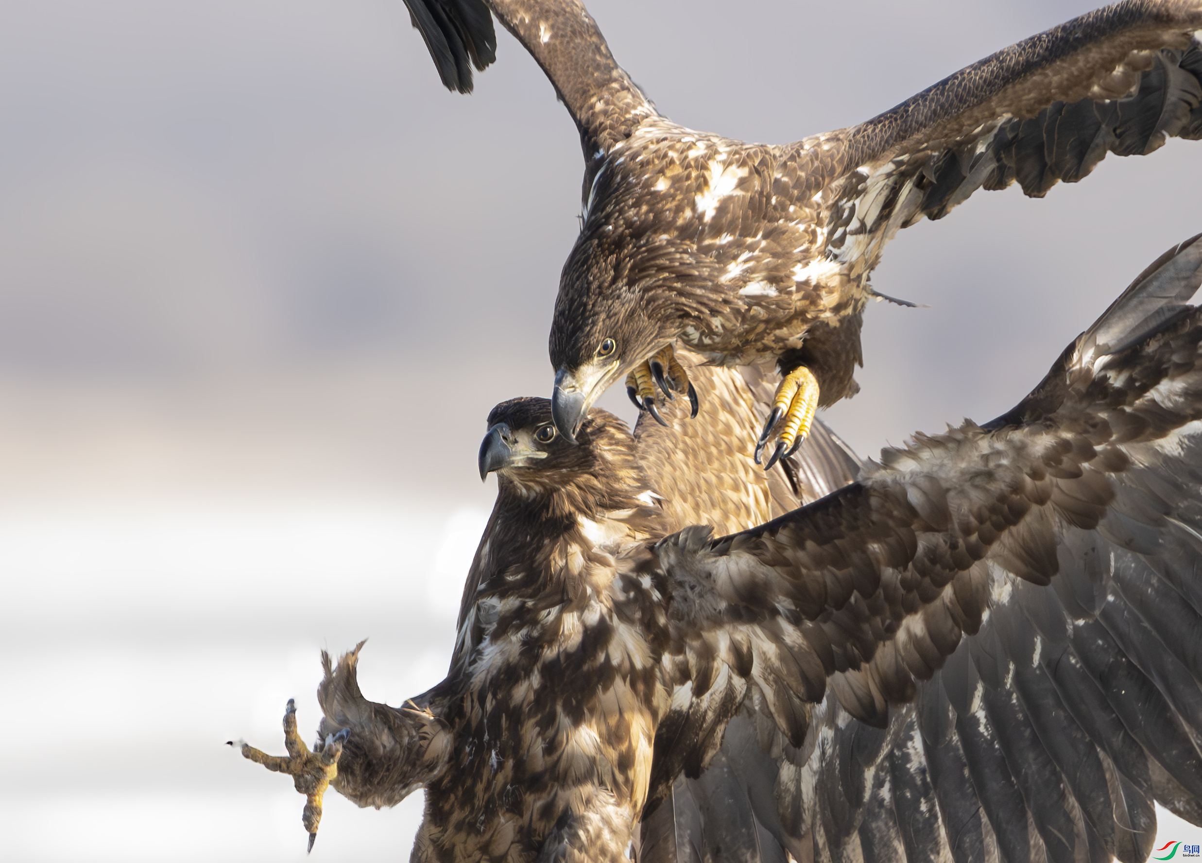 1DS_1615 ����_����.jpg