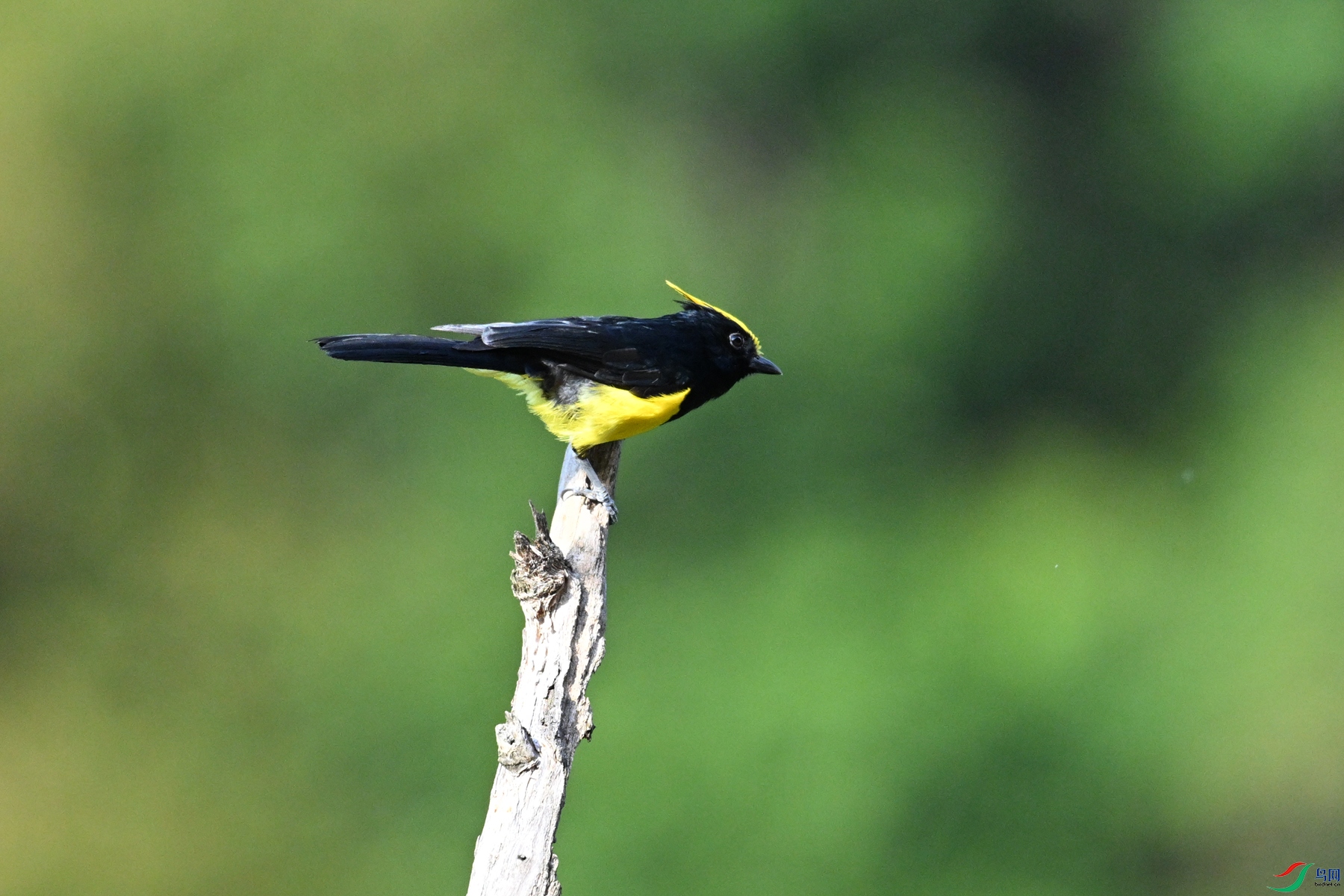 DSC_2219.JPG