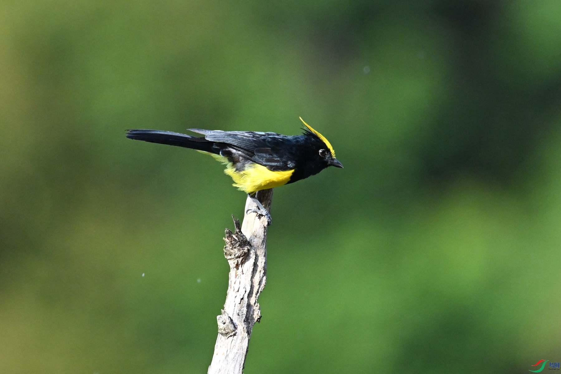 DSC_2223.JPG