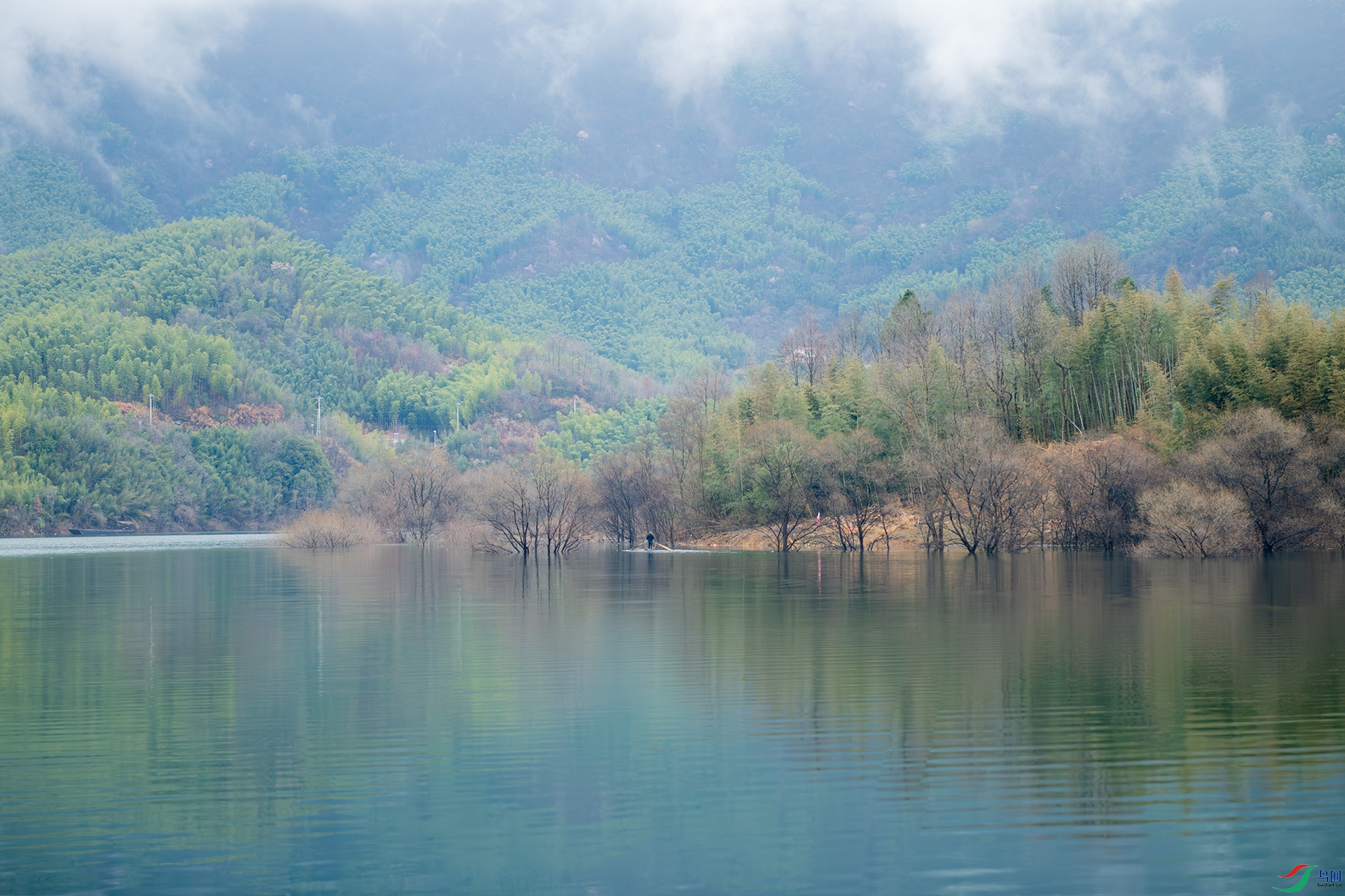 _DSC8781.jpg