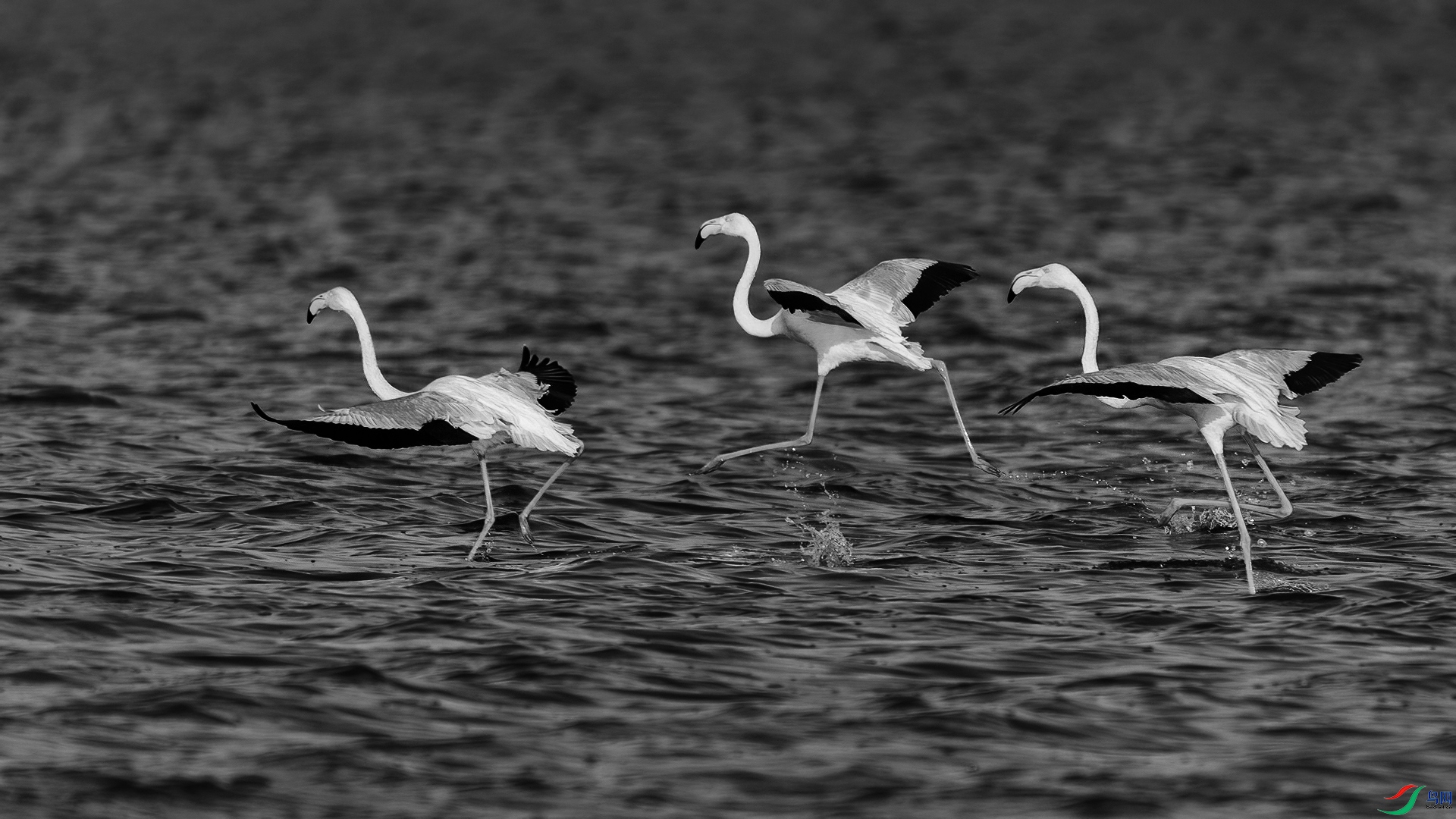 DSC_0250-2-20260220�ü�.jpg