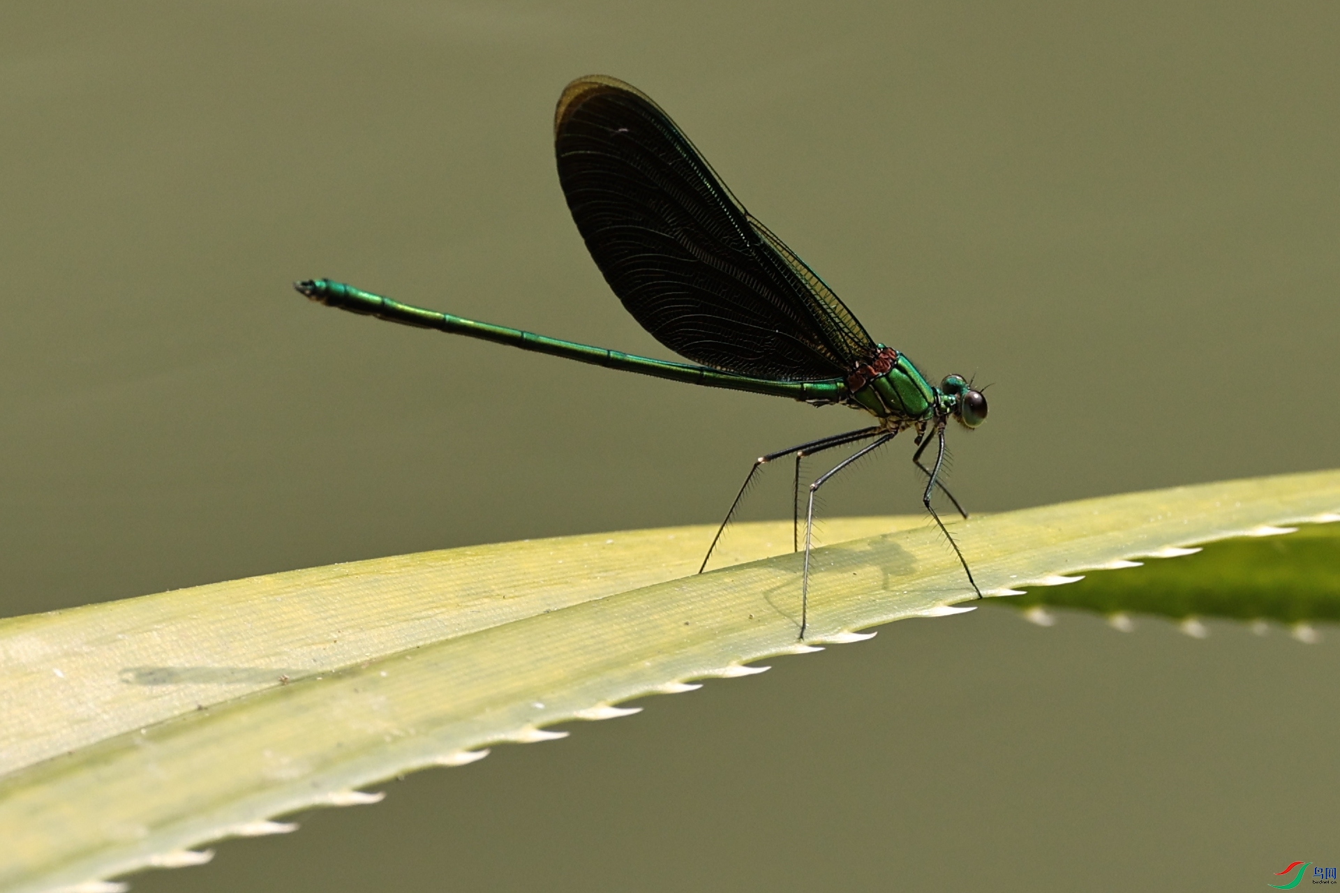 H26A2276_����.jpg