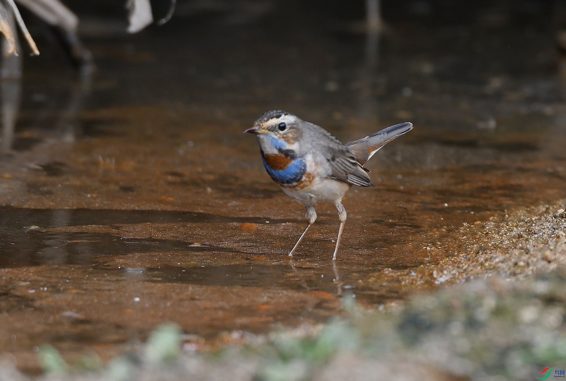 DSC_3927.jpg