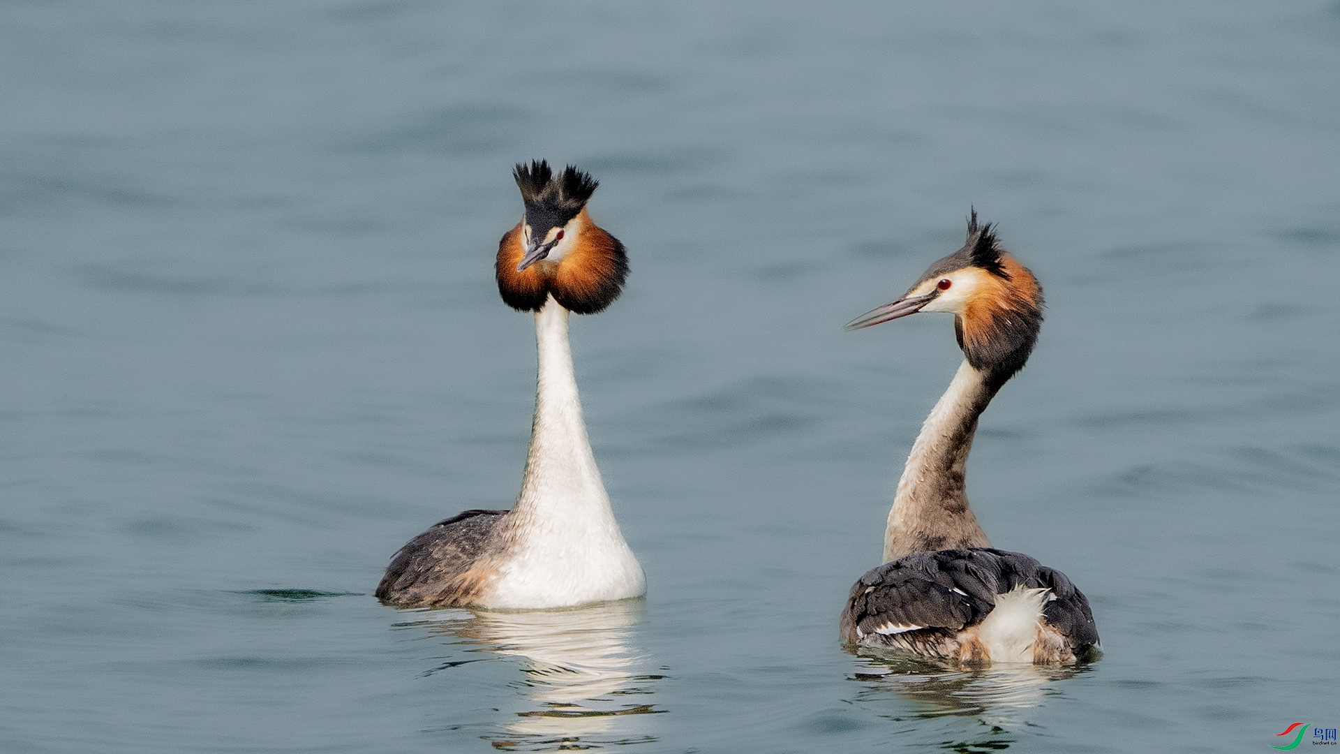 DSC_5218 ����.jpg