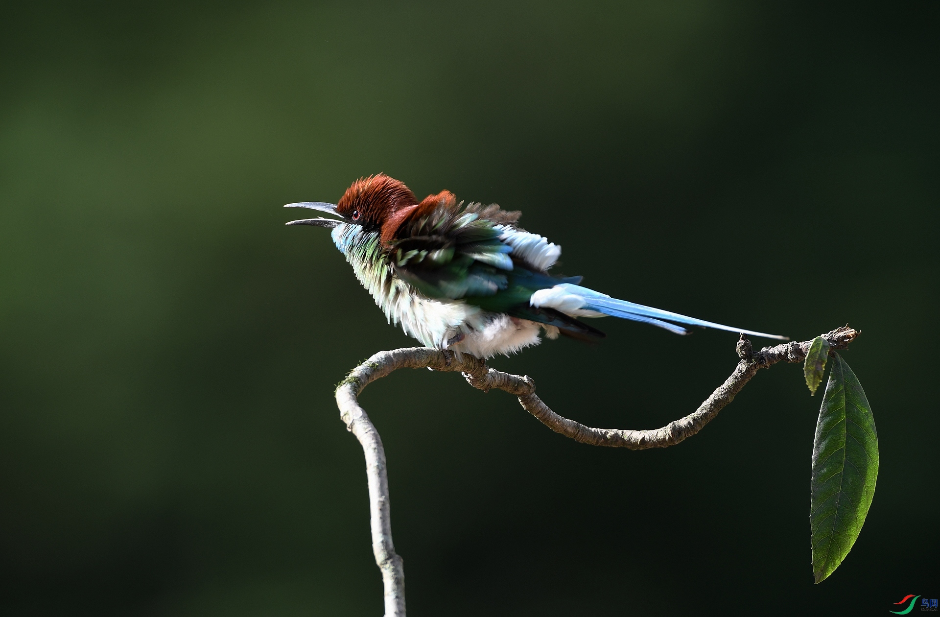 DSC_9262.jpg