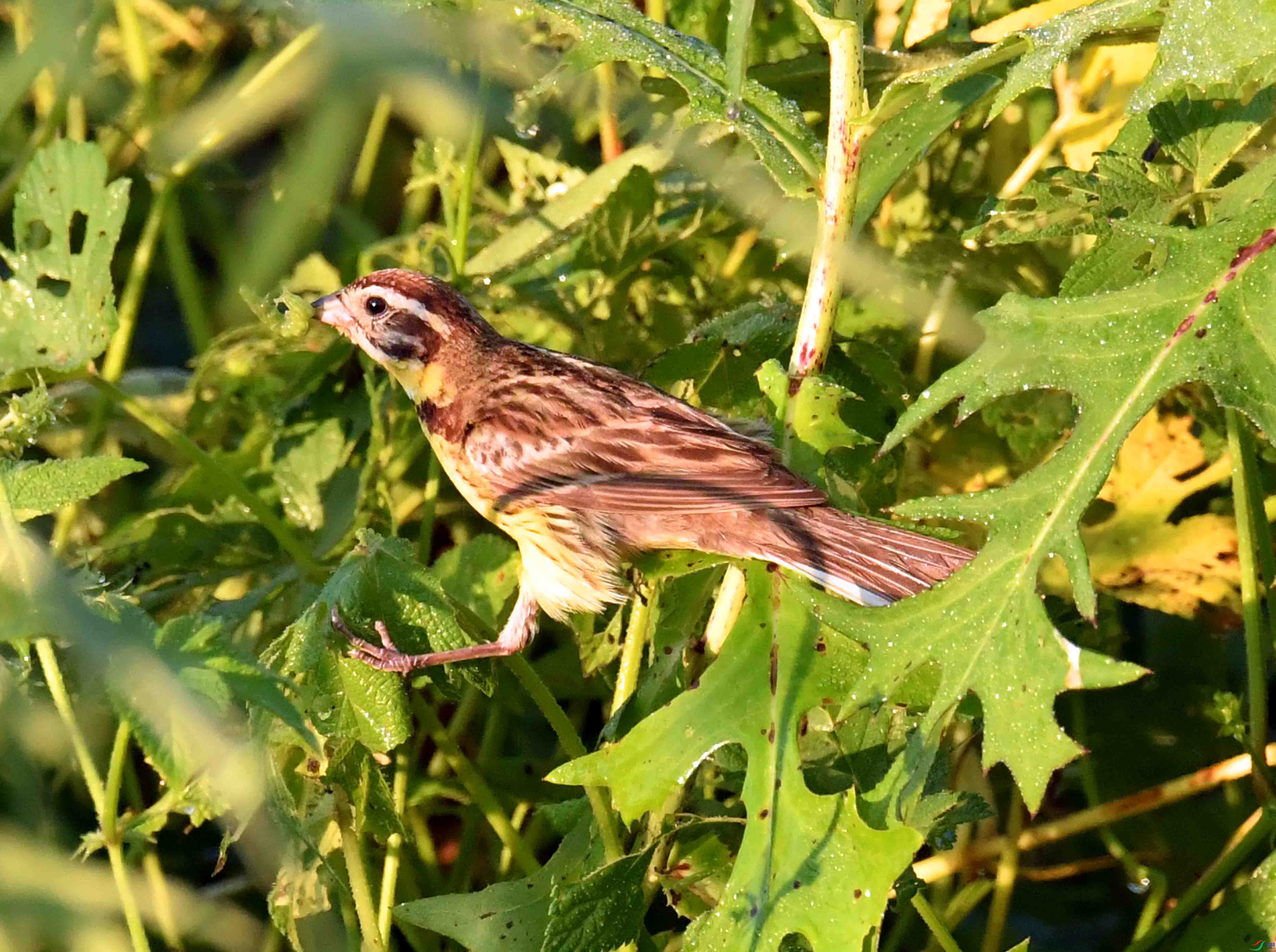 DSC_8320.JPG