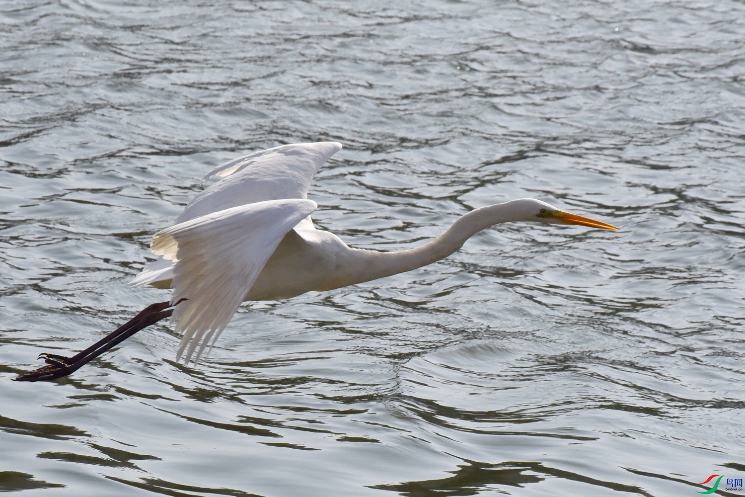DSC_6112.JPG