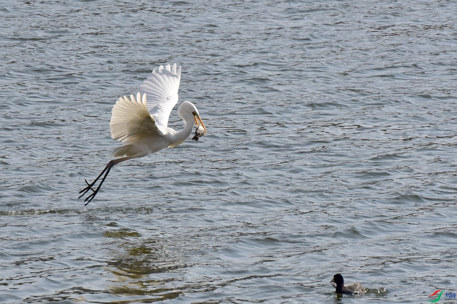 DSC_6119.JPG