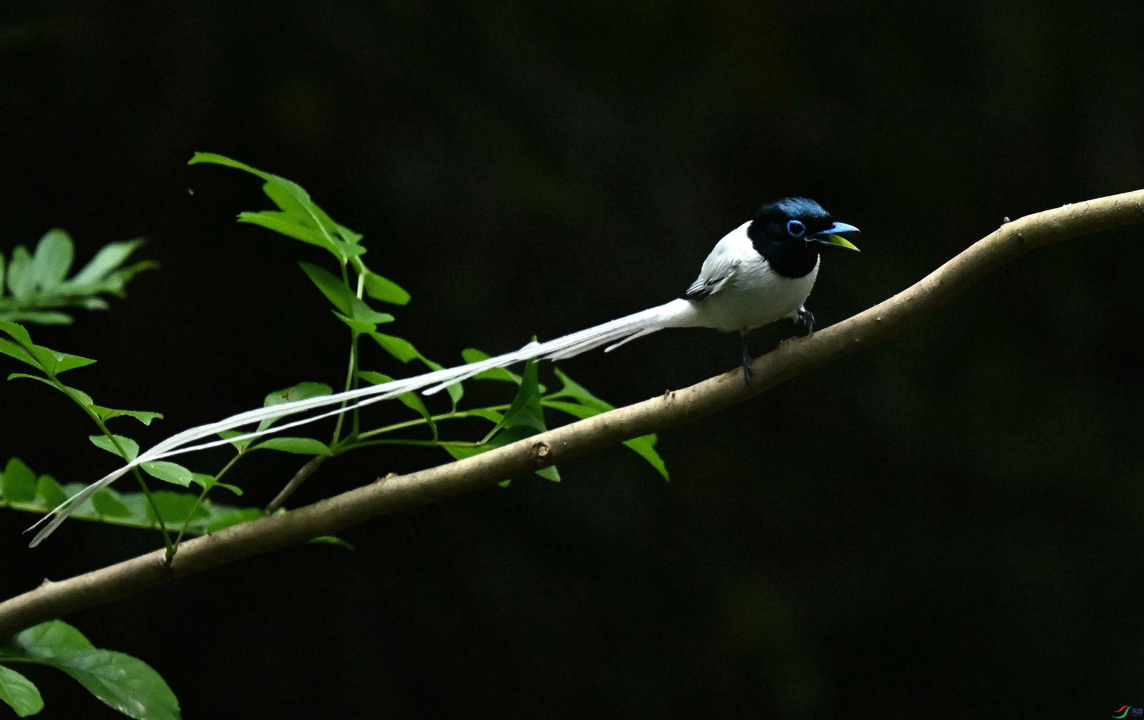 DSC_4528.jpg