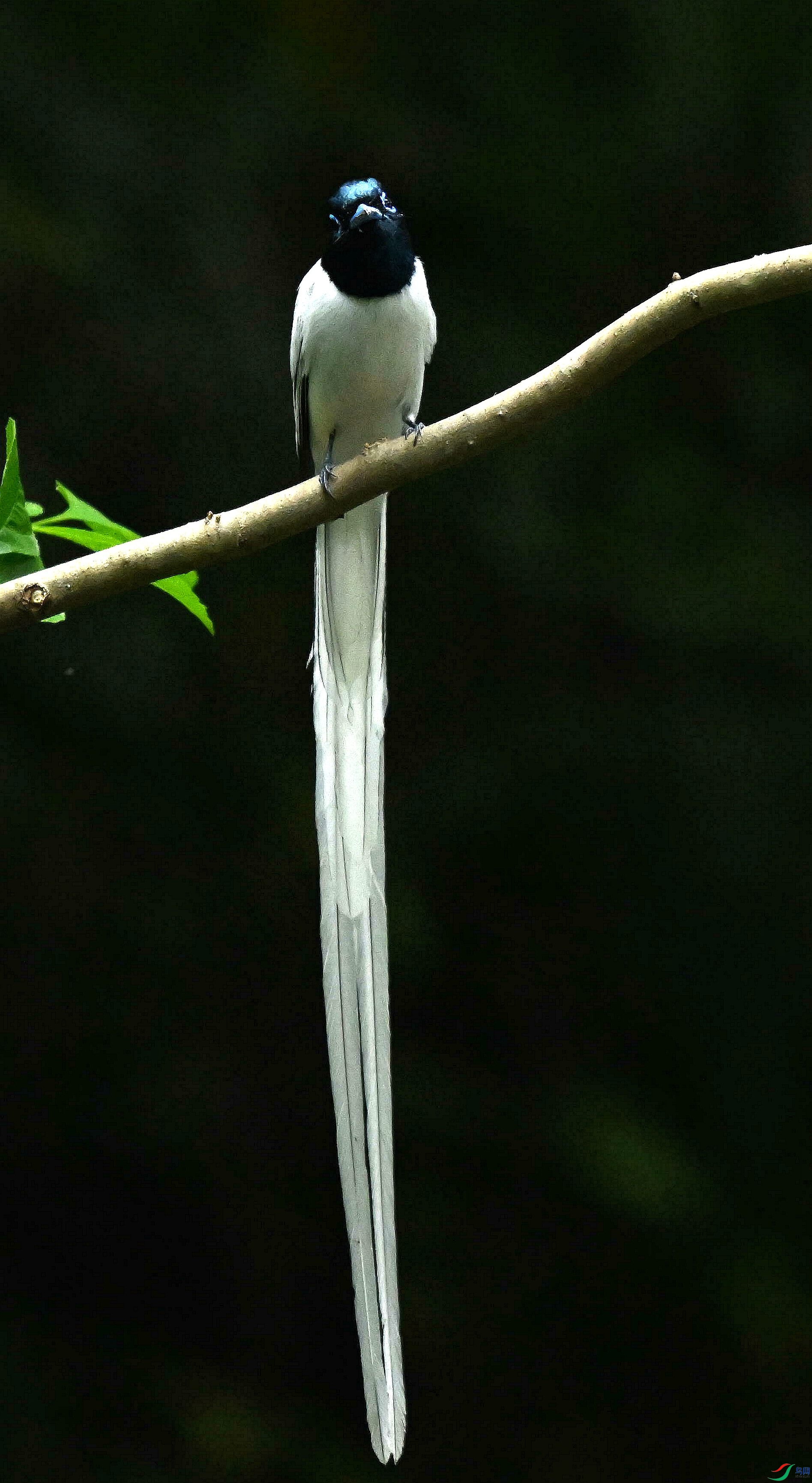 DSC_4376.jpg