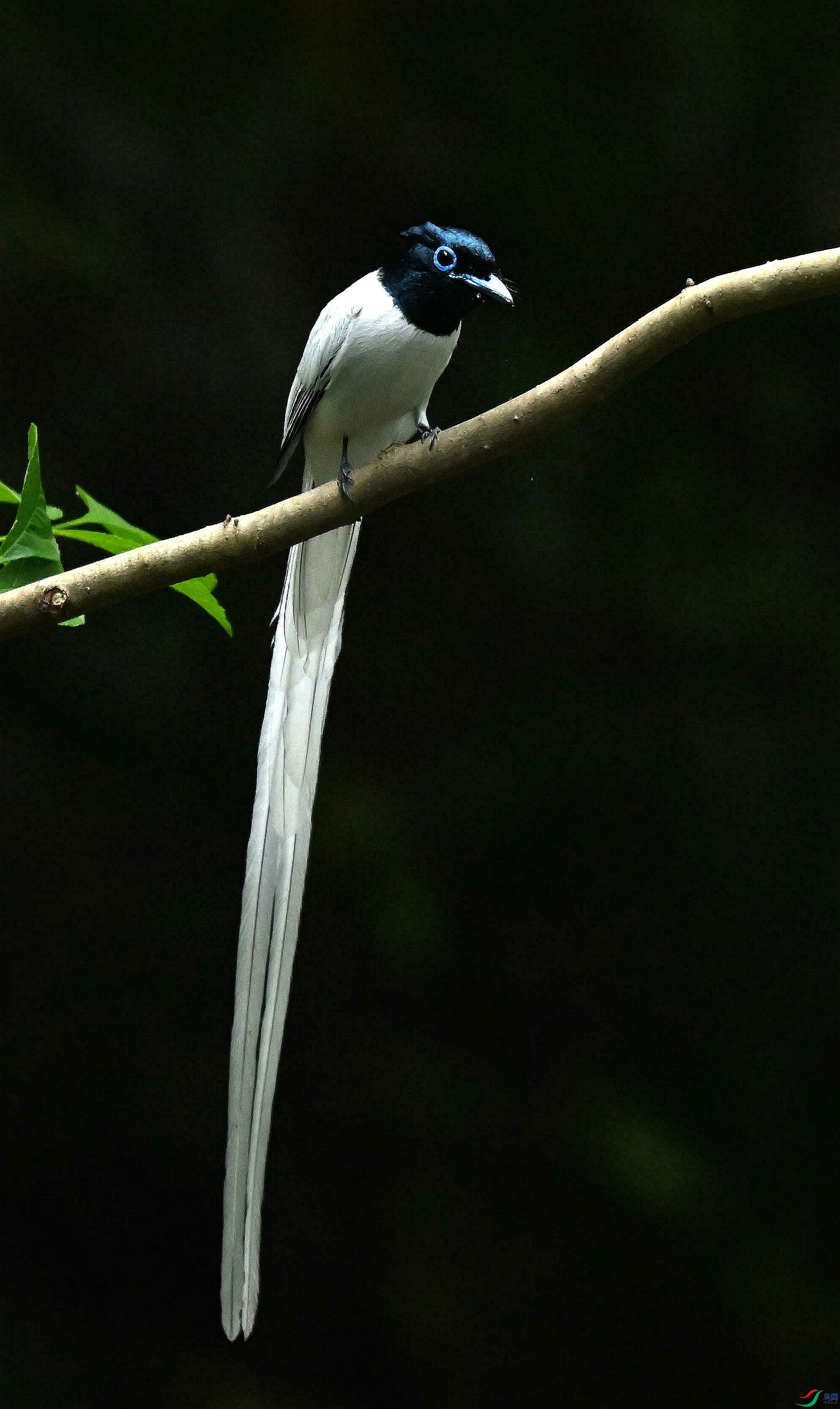 DSC_4368.jpg
