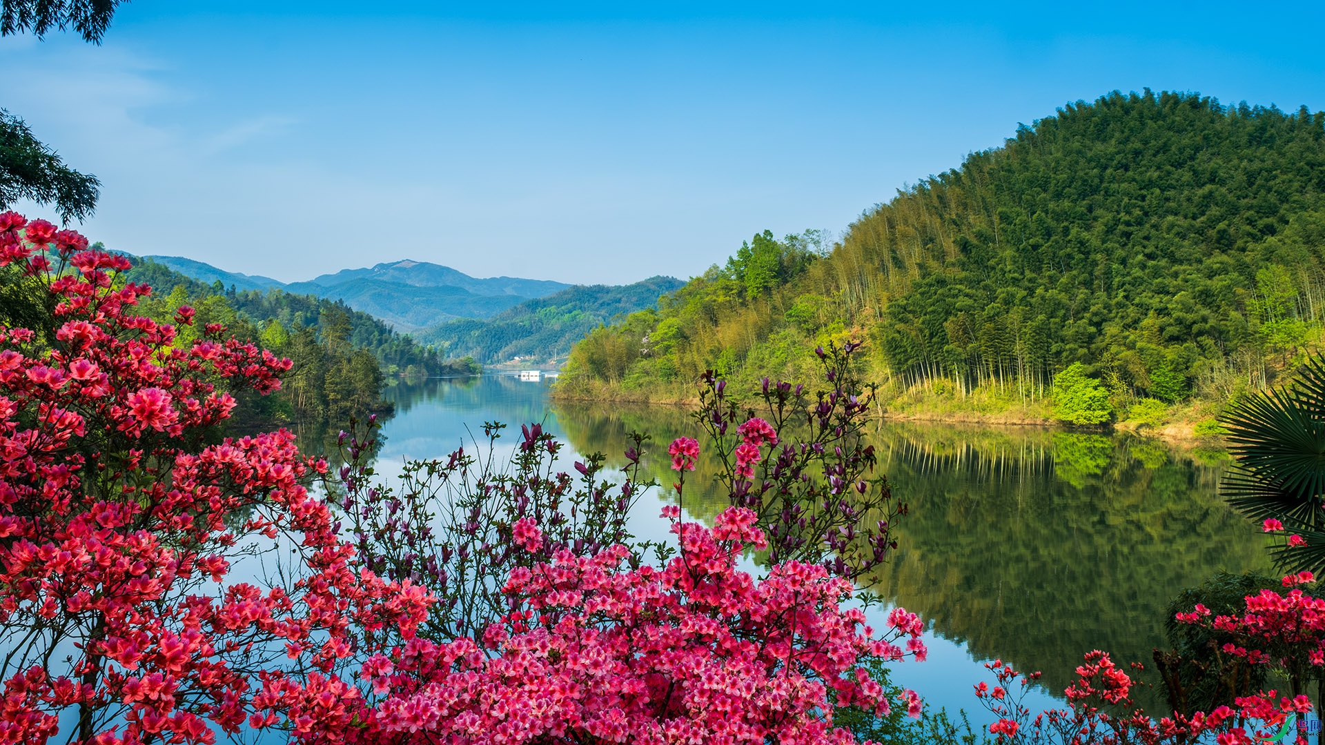 _DSF5966 ����.jpg