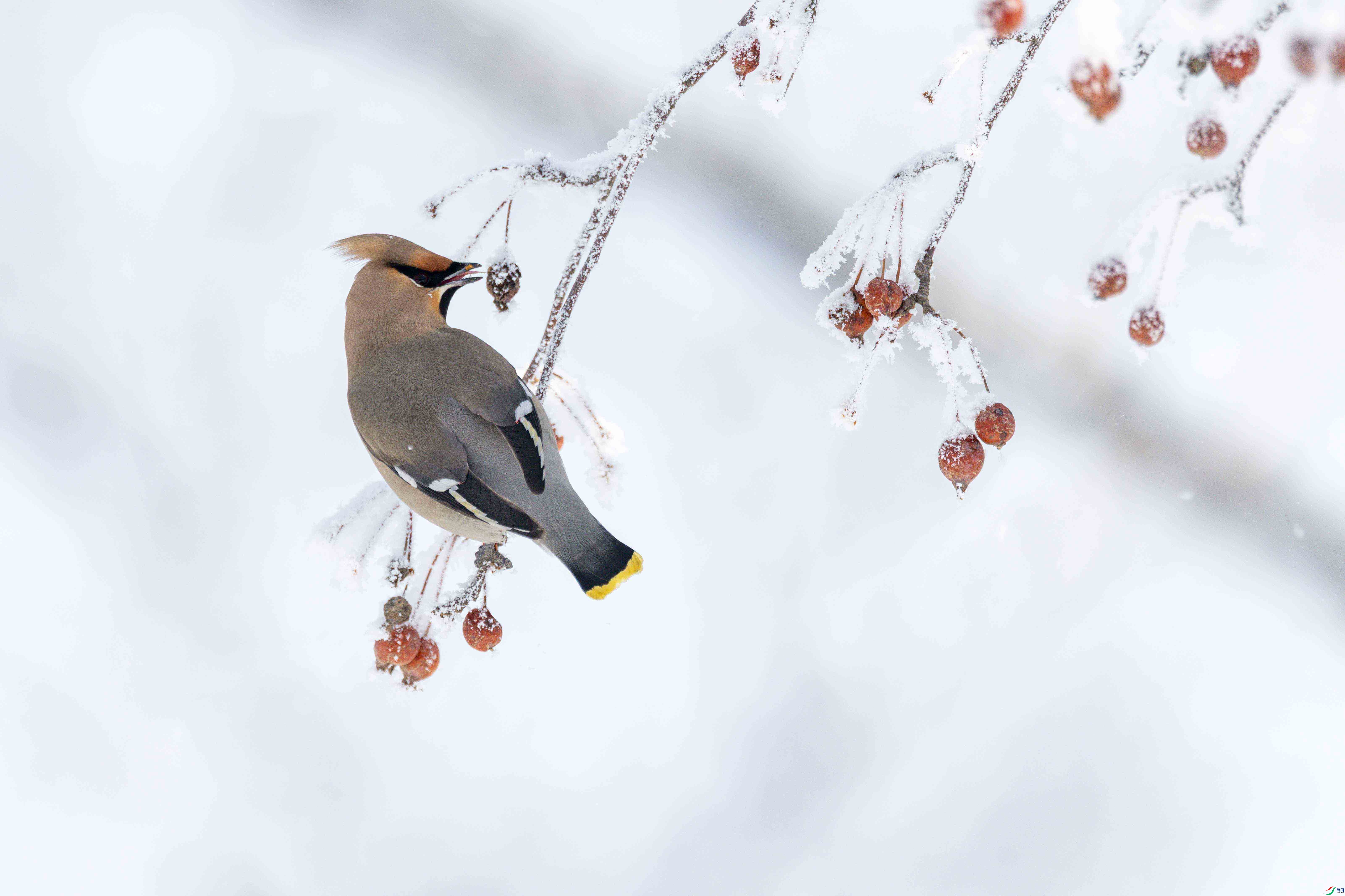 107A6405 ���� 2.jpg