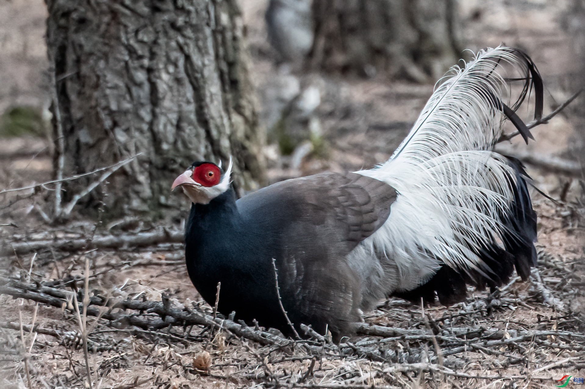 DSC_5110-1.jpg