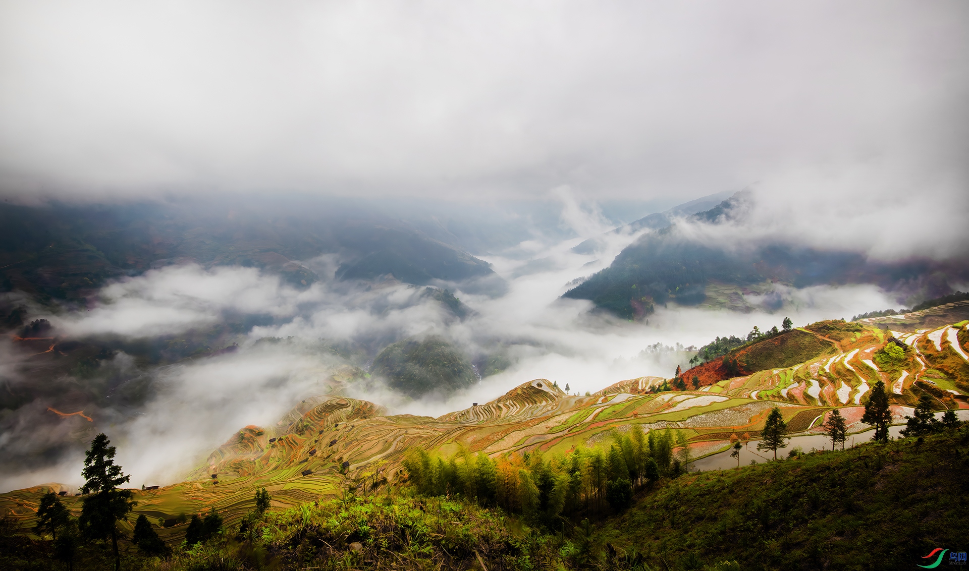 _DSC2150- �����ƺ�.jpg