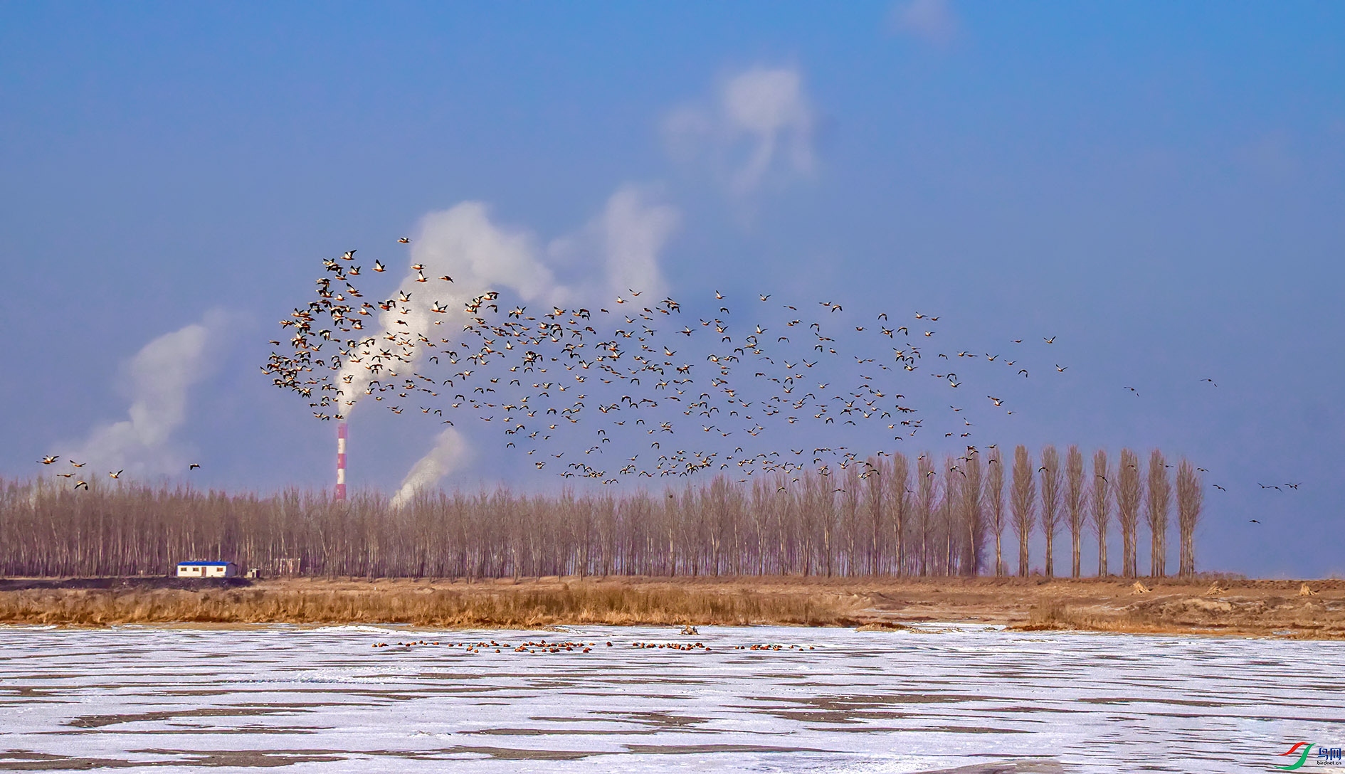 DSC_0410_��ͼ��-2 ����.jpg