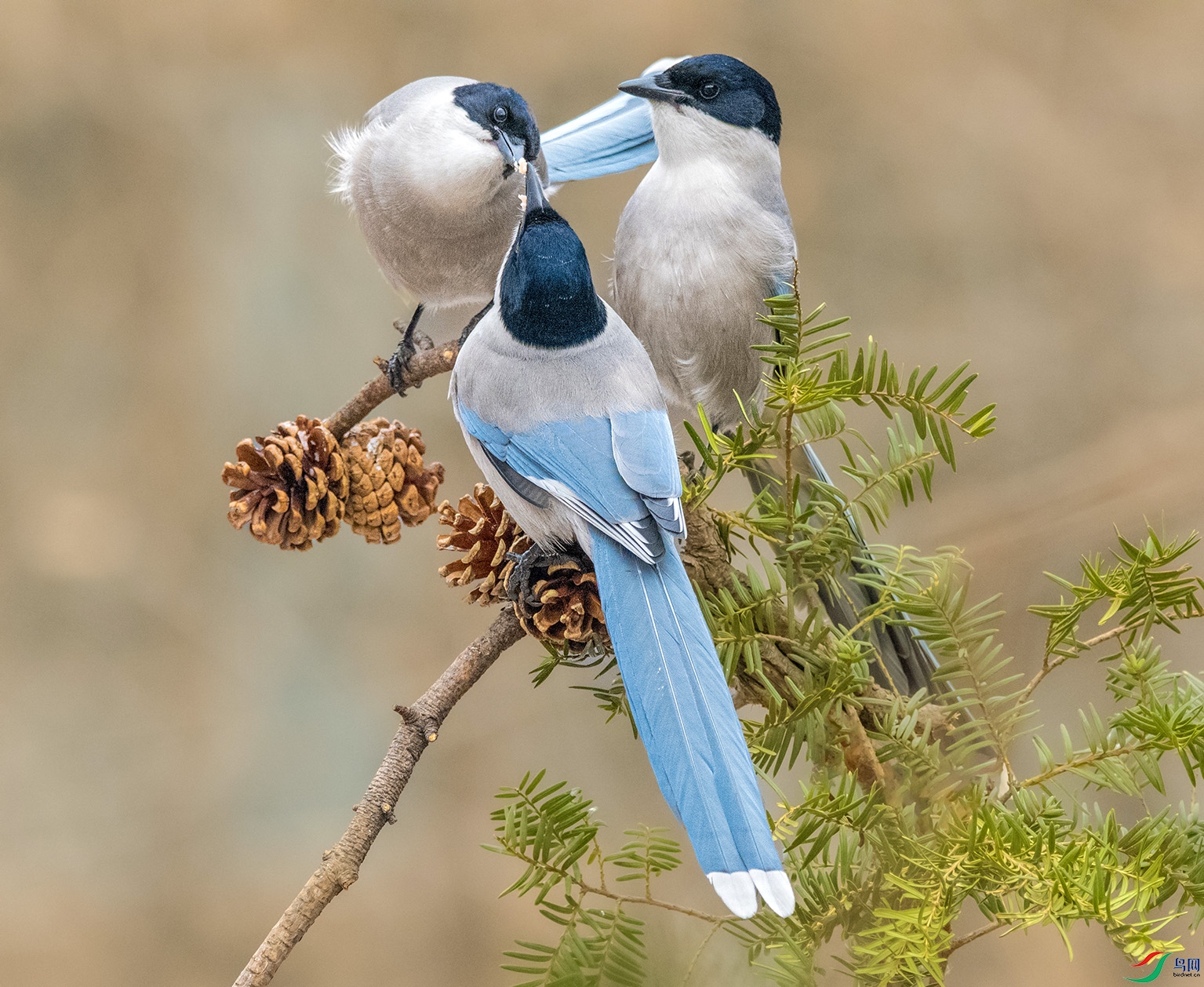 DSC_3114_��ͼ��_��ͼ�� ���� 2.jpg