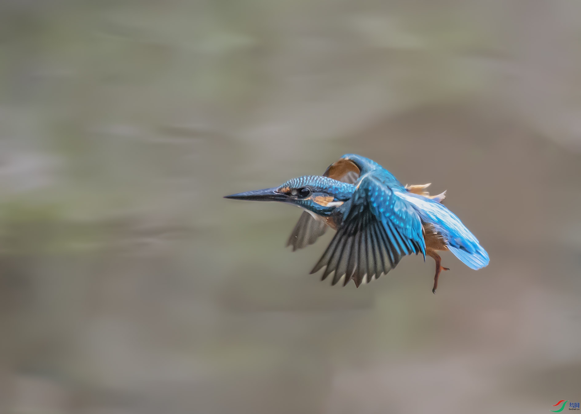 DSC_8251_��ͼ�� ����.jpg