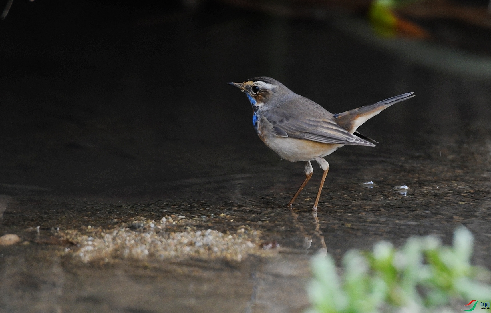 DSC_3492.jpg