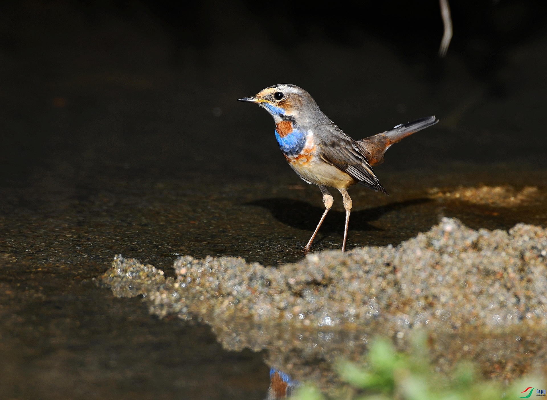 DSC_6160.jpg