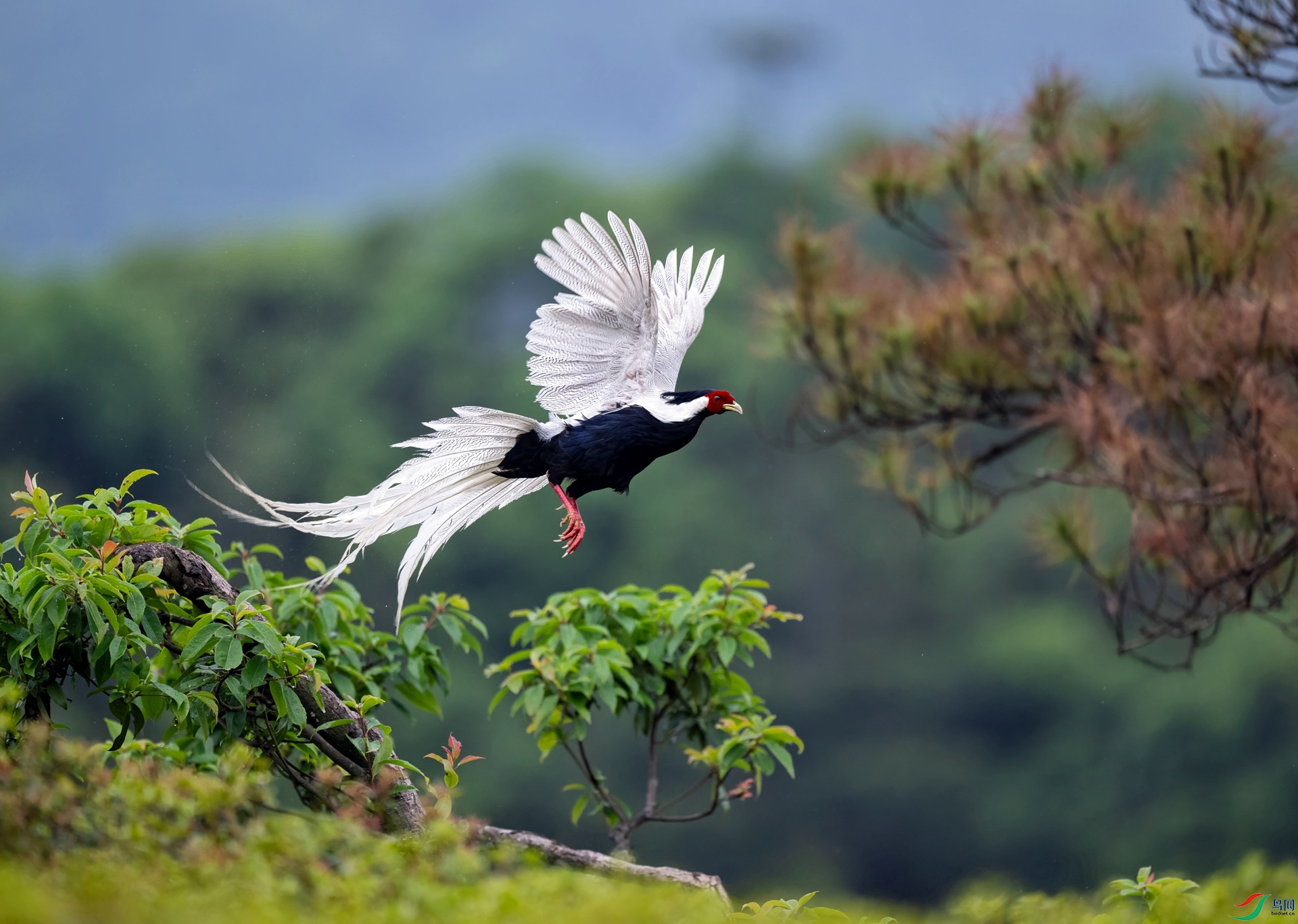 _DSC5798 ����-01.jpeg