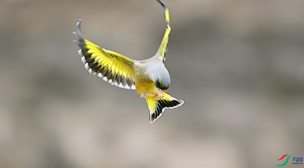DSC_0562.JPG
