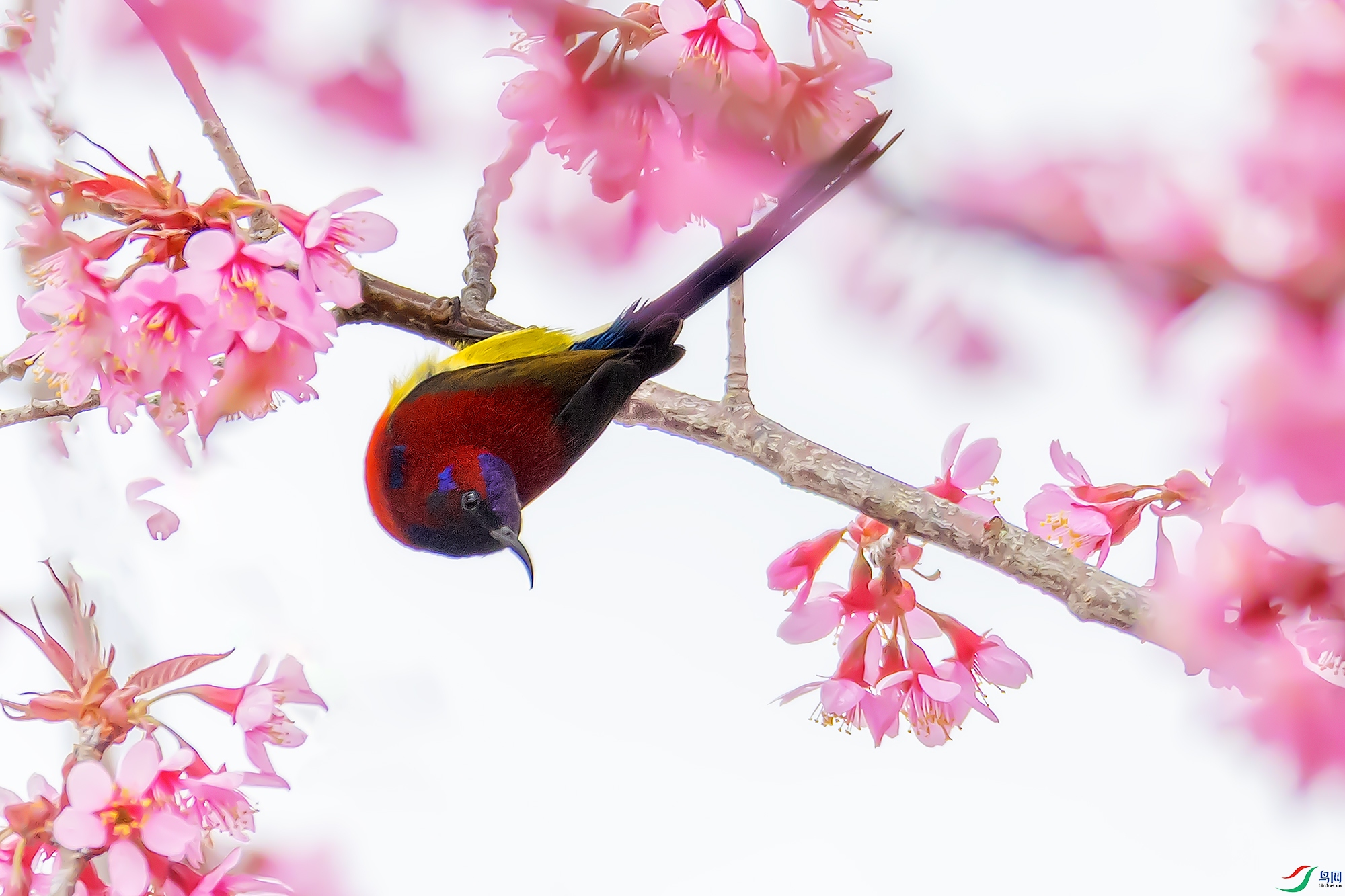 0F7A4739 ����.jpg