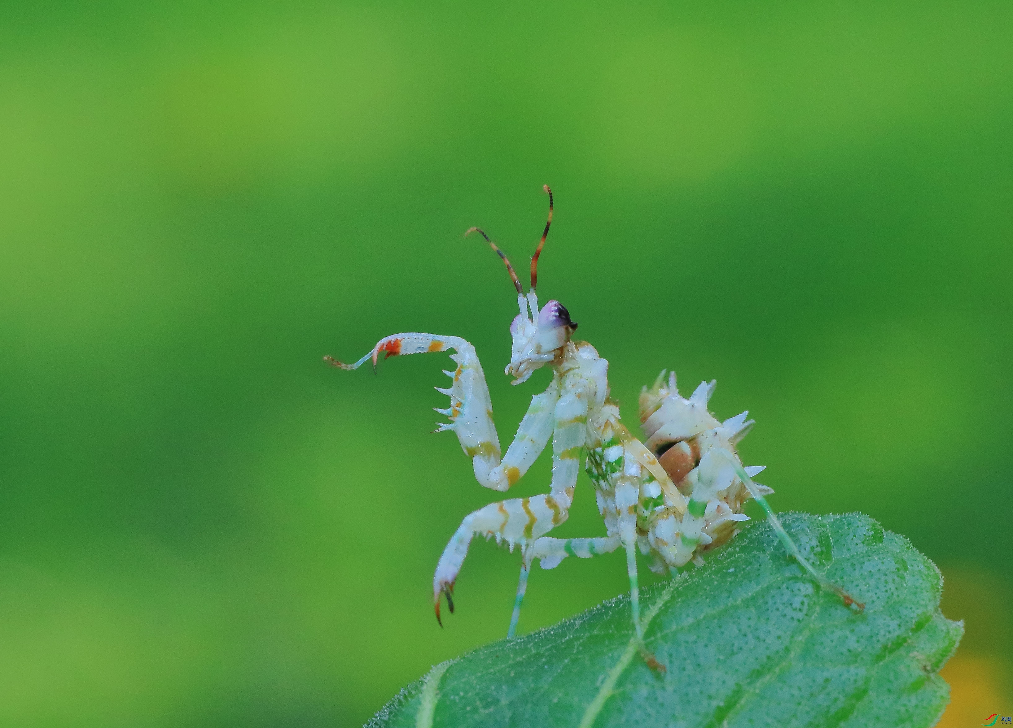 7T8A0759 ����.jpg