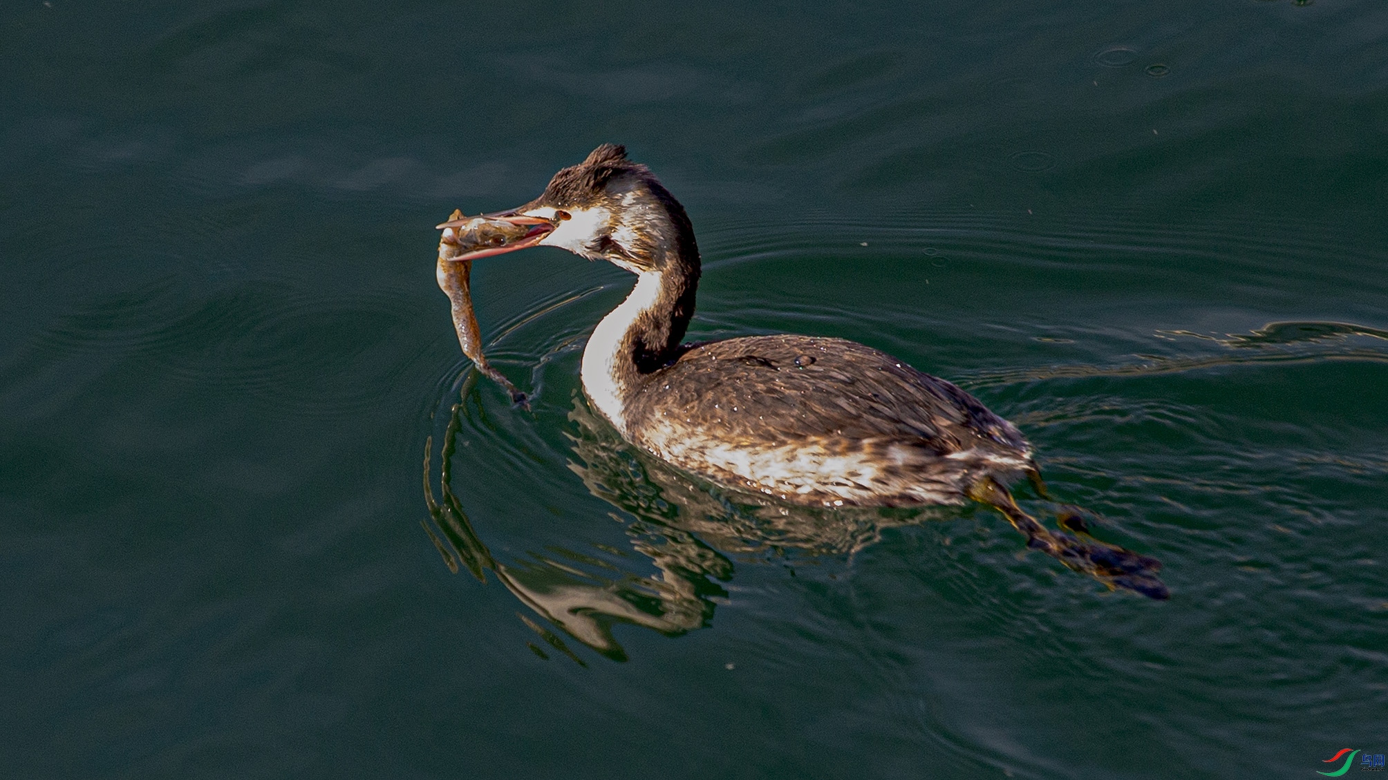 _MG_6563 ����.jpg