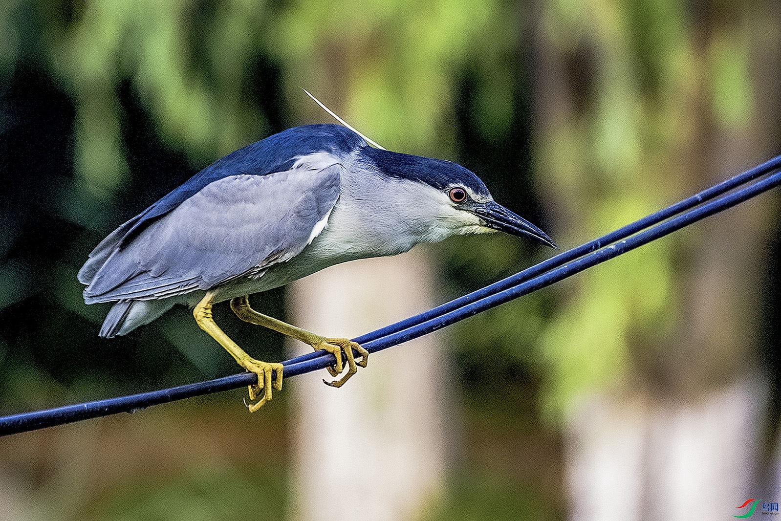 _MG_6038���� ���� 4.jpg