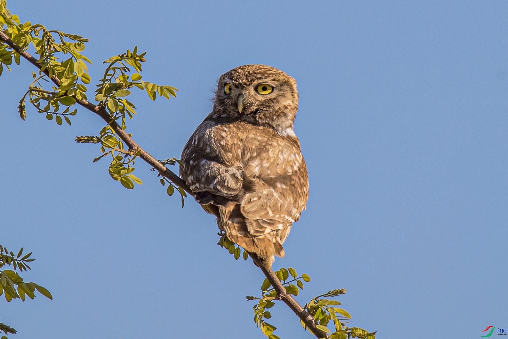 �����ۿ�