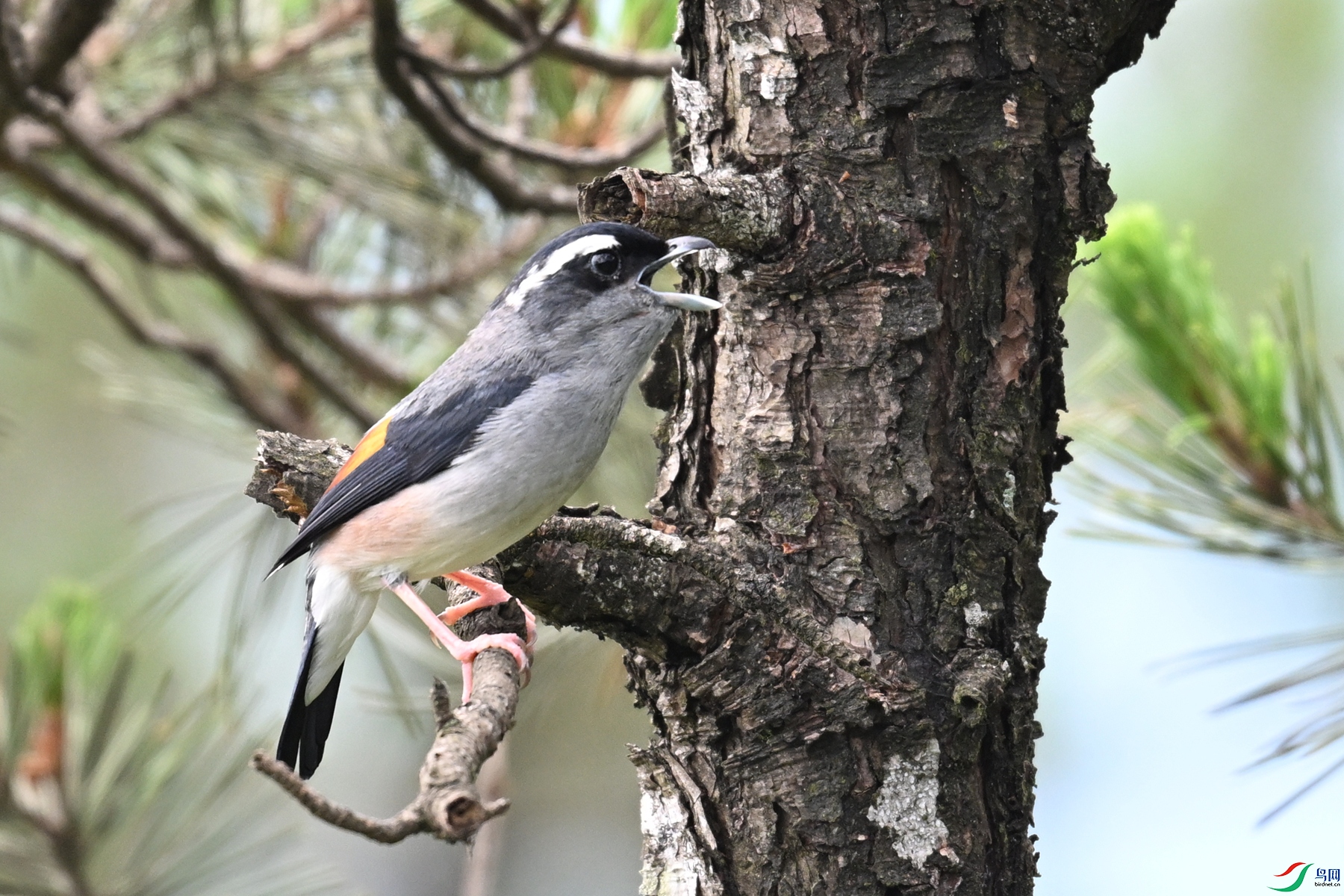 DSC_1219.JPG