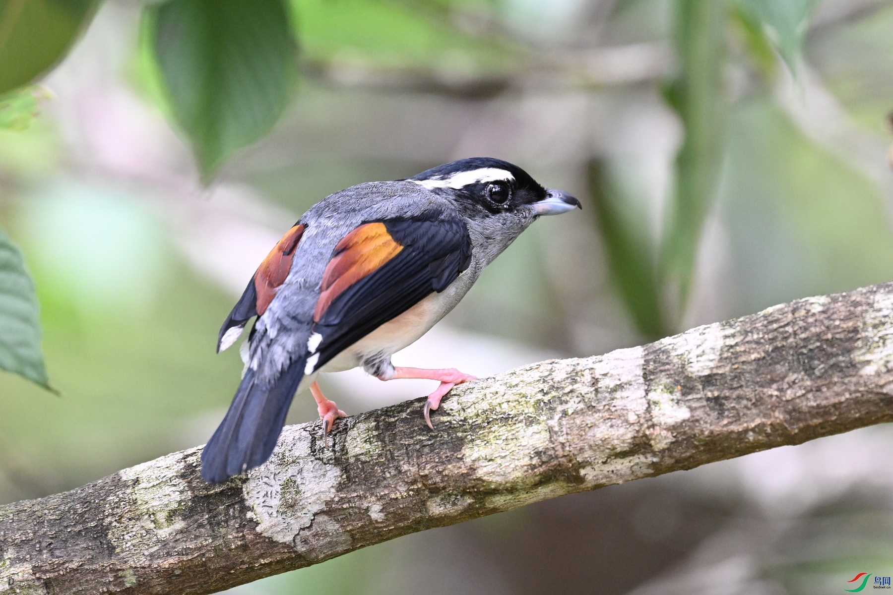 DSC_1258.JPG