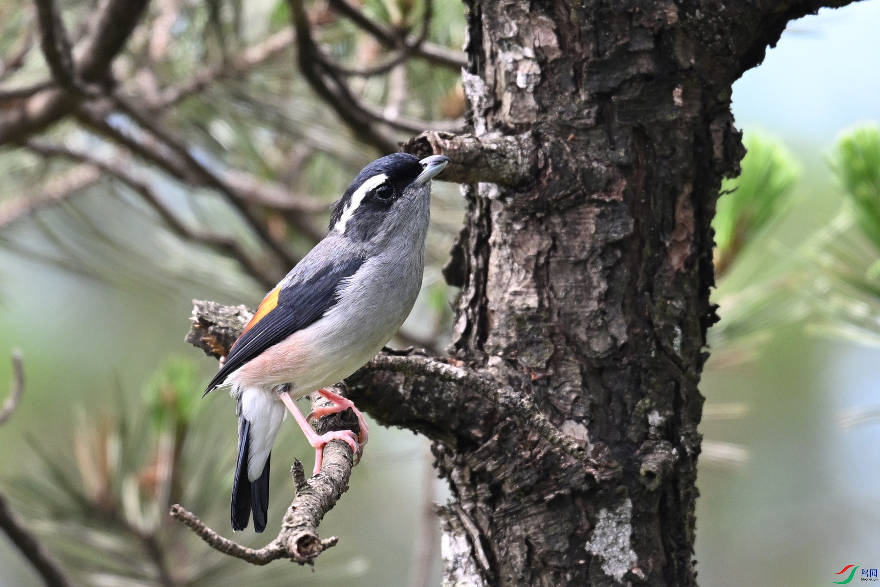 DSC_1225.JPG