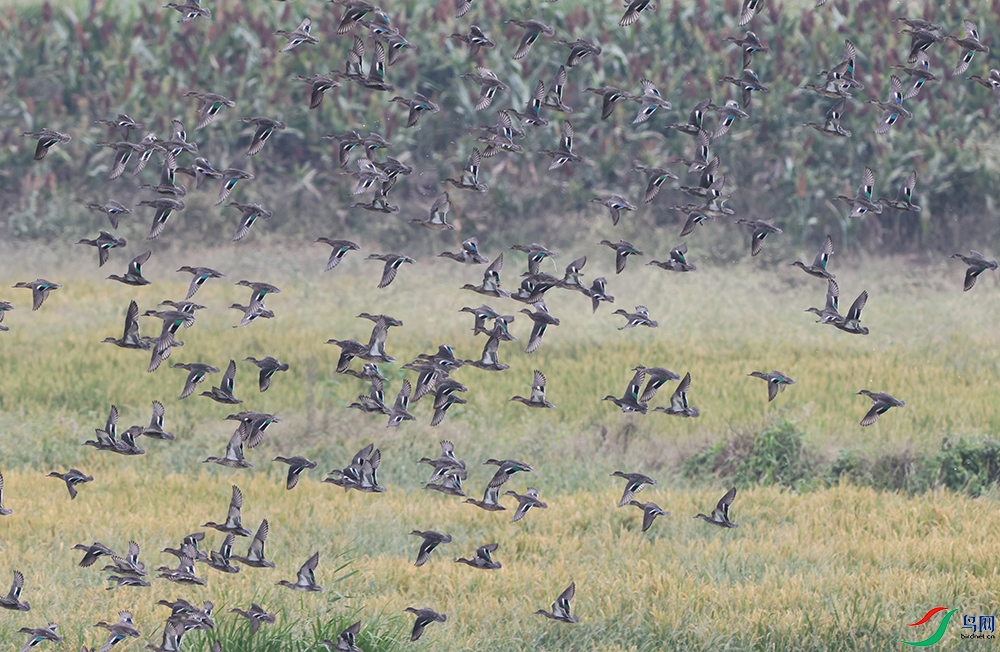 �� Ѽ �̳�Ѽ251.jpg