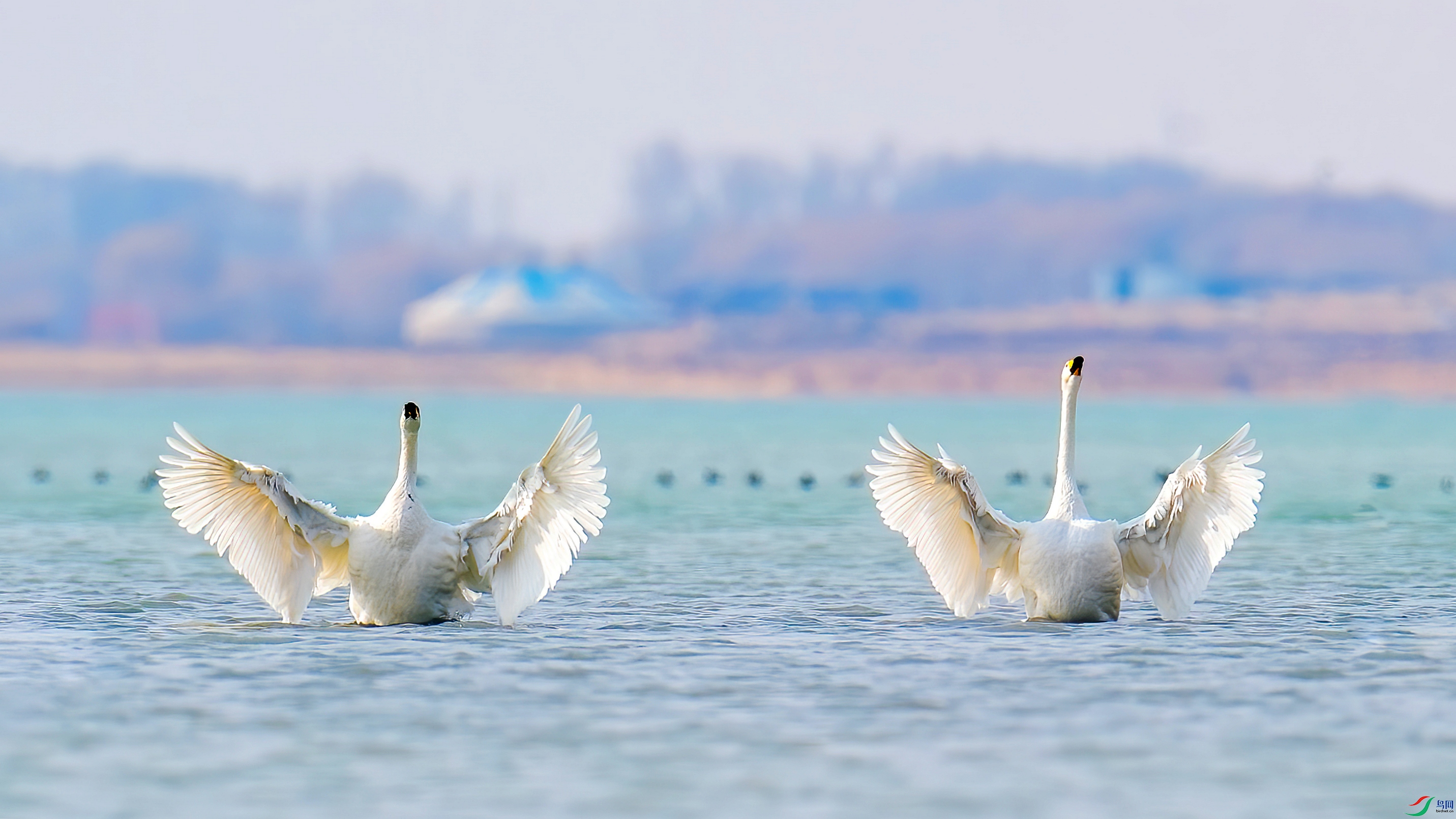 YJY_1293 ����_����_����_����.jpg