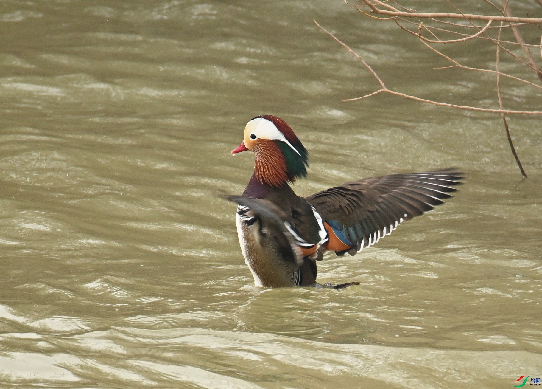 DSC_0912.JPG