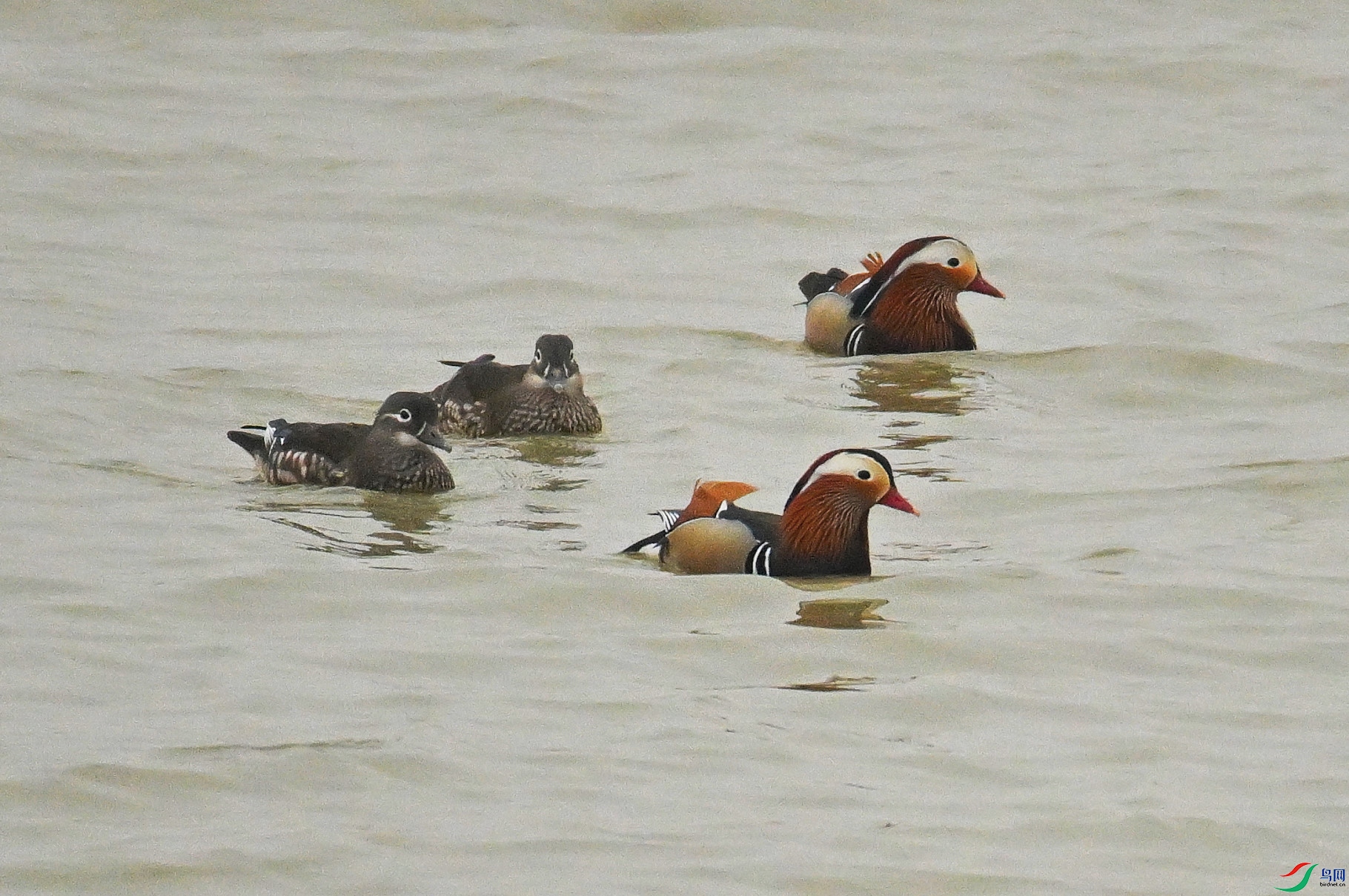 DSC_0283.JPG