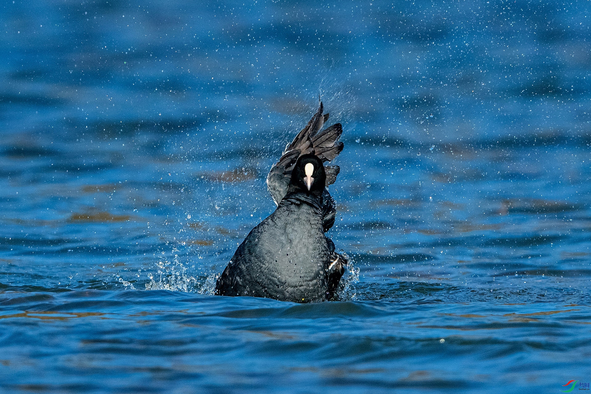 _AUU6970 ����(25.2.17).jpg