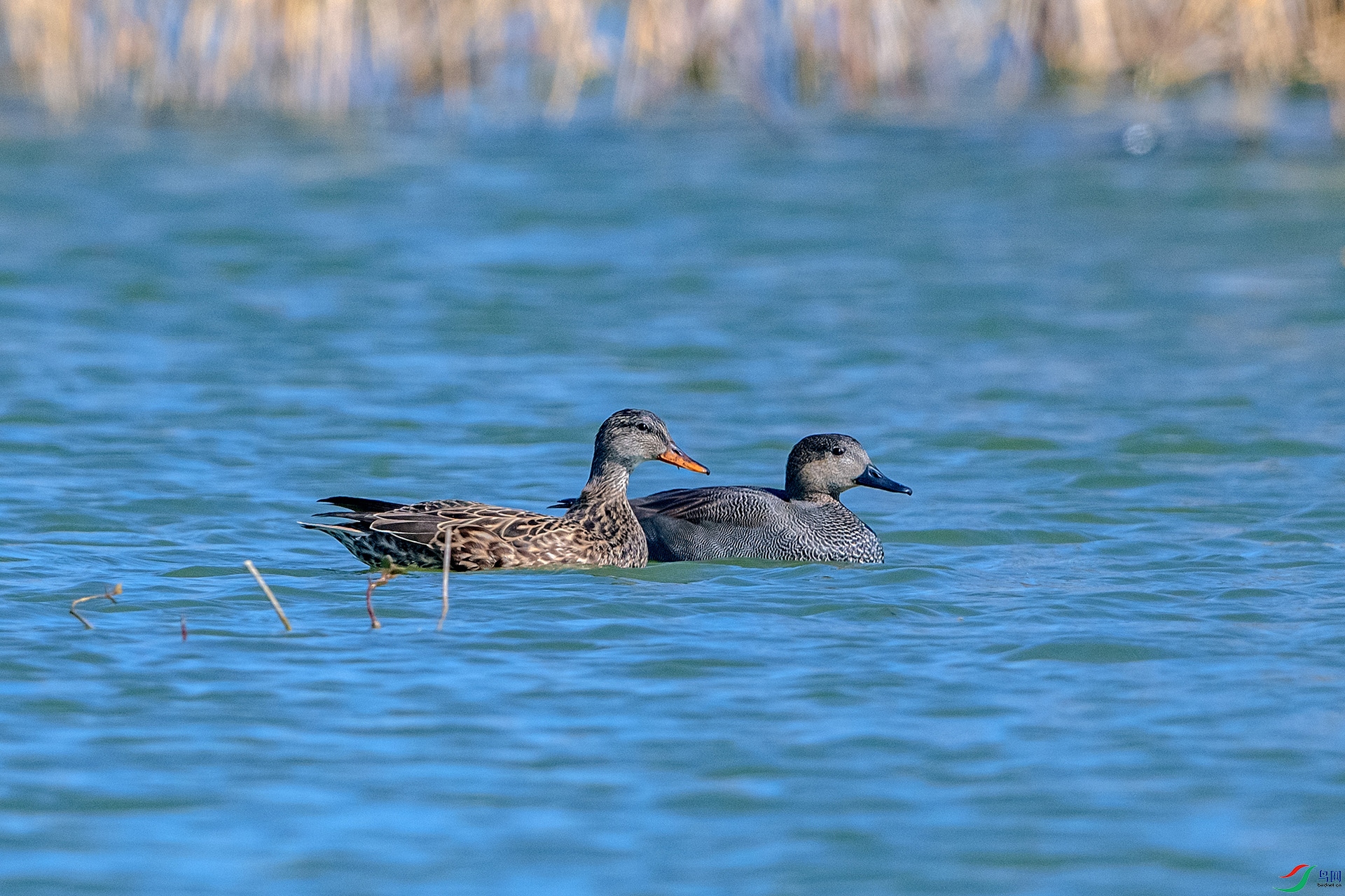 _AUU7701 ���Ѽ(26.2.10).jpg