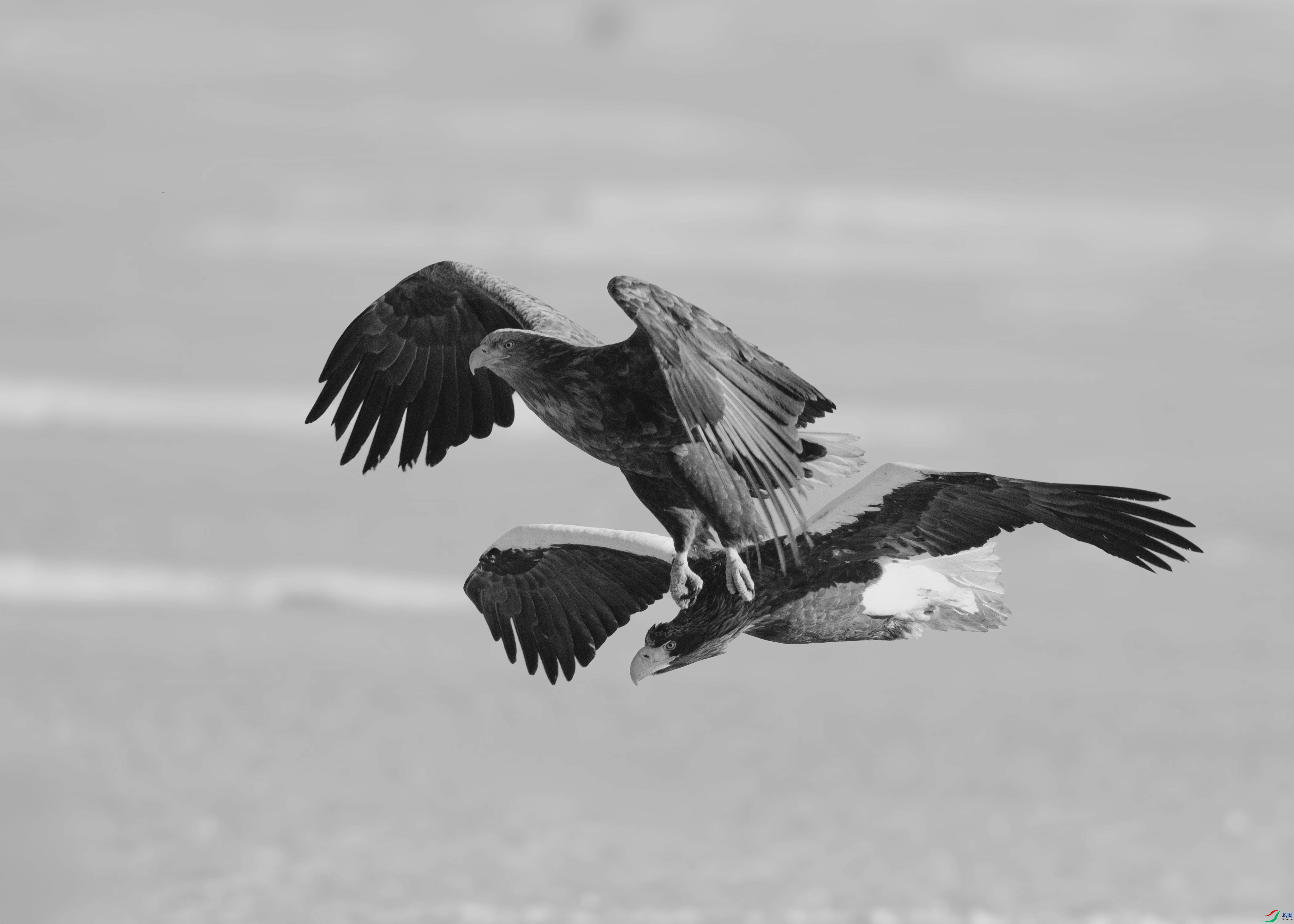 1DS_6035 ����_����_����.jpg