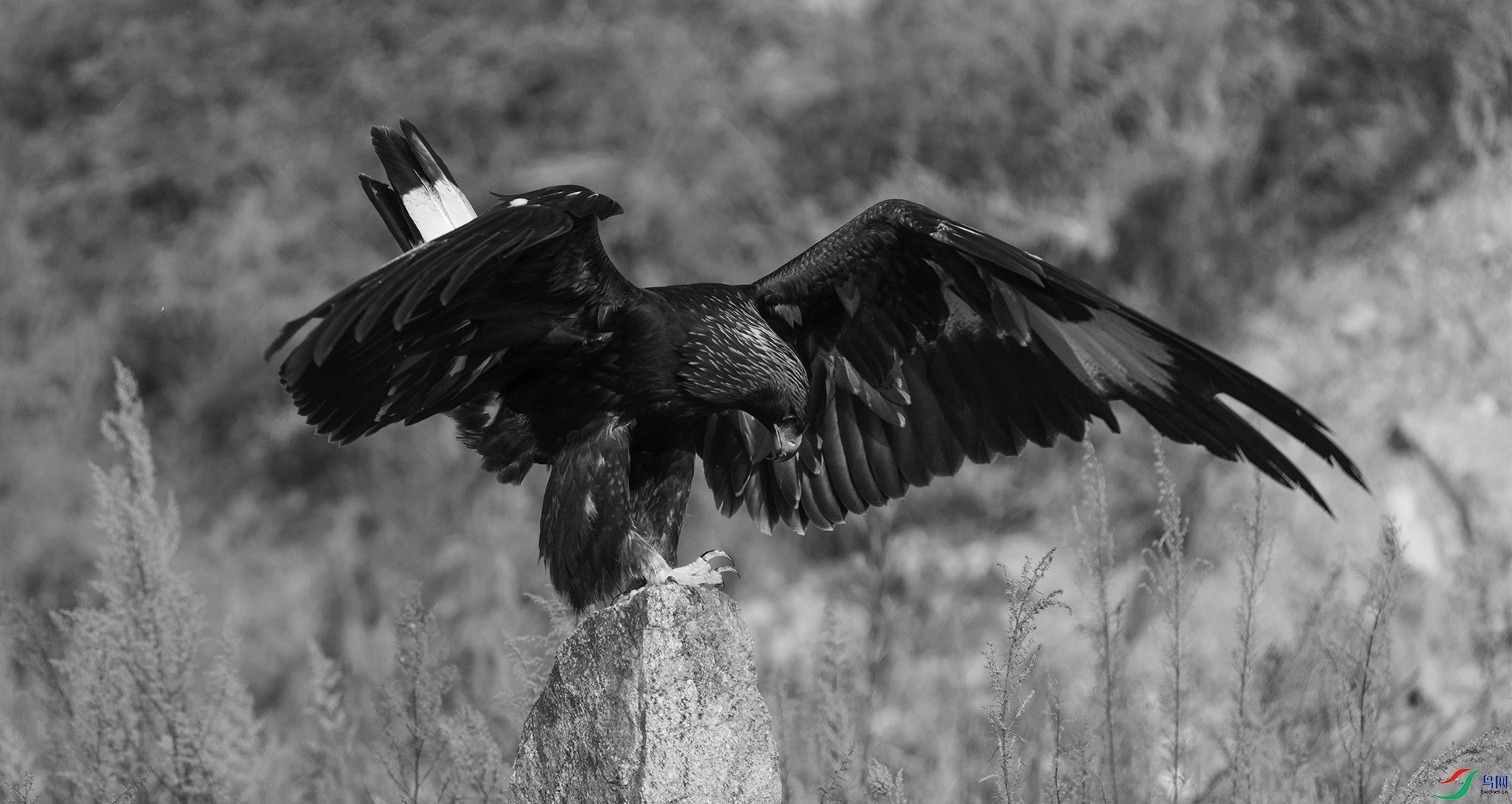 DSC06028 ����.jpg