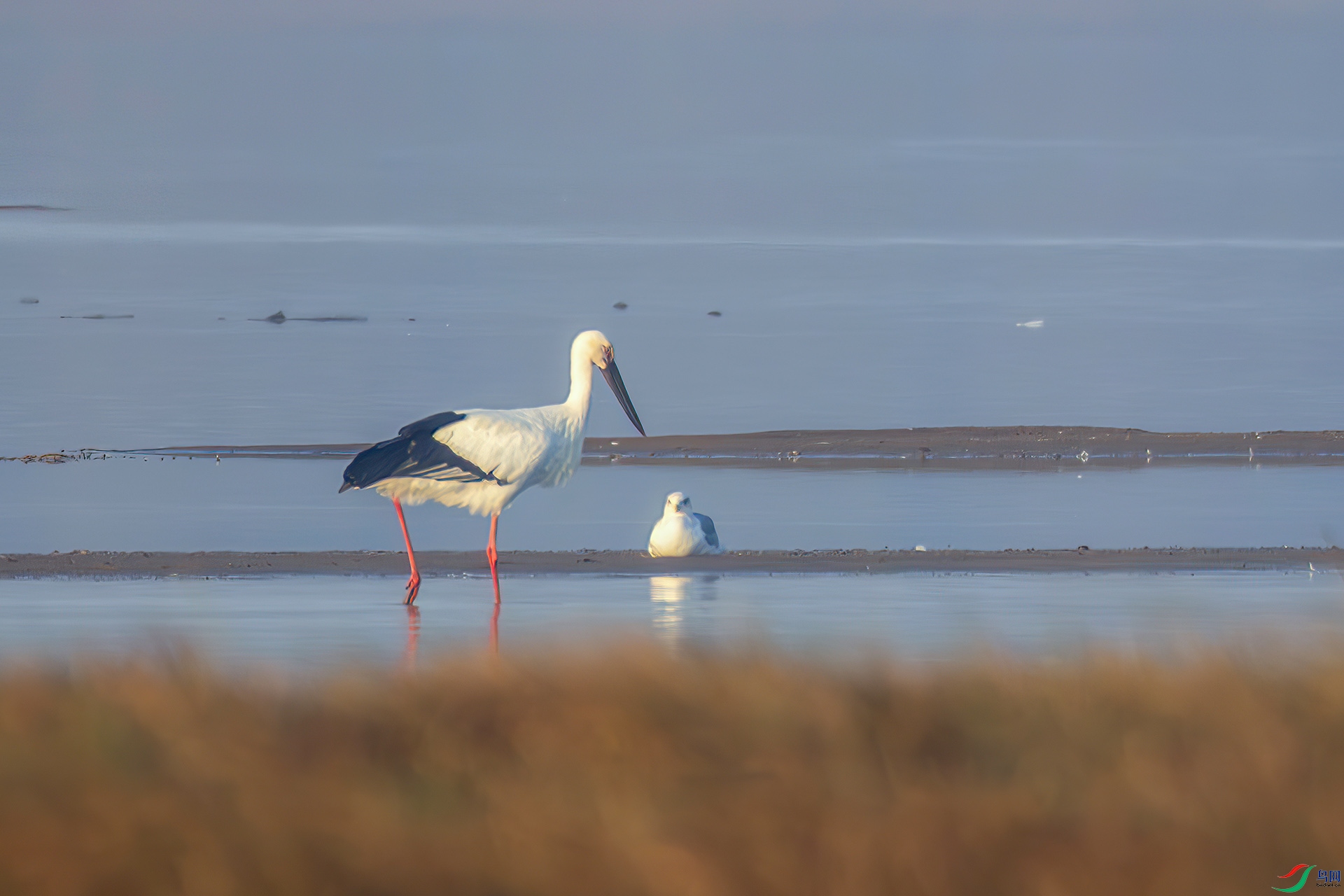 407A1358-----22  .jpg