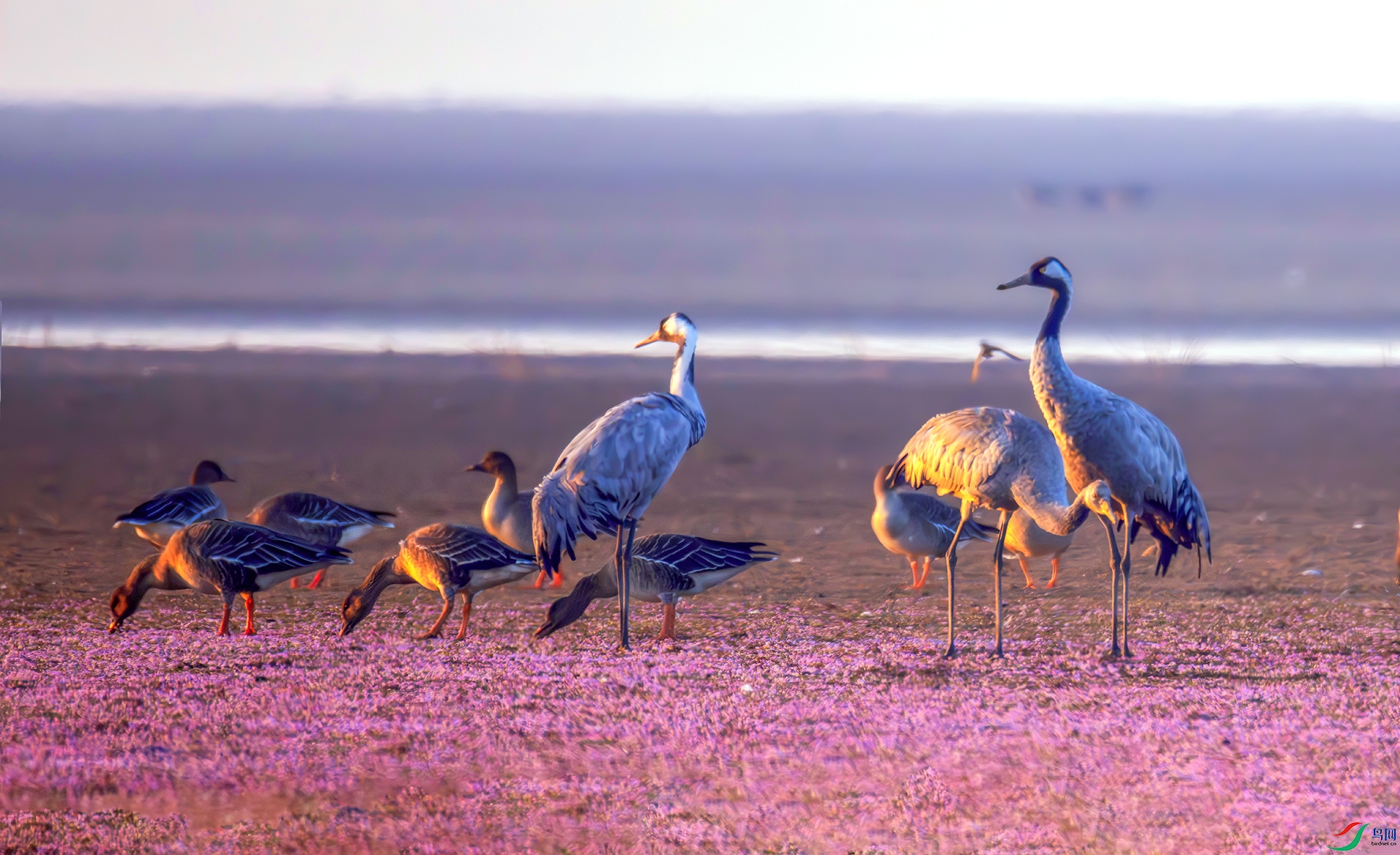 407A4125-----22  .jpg