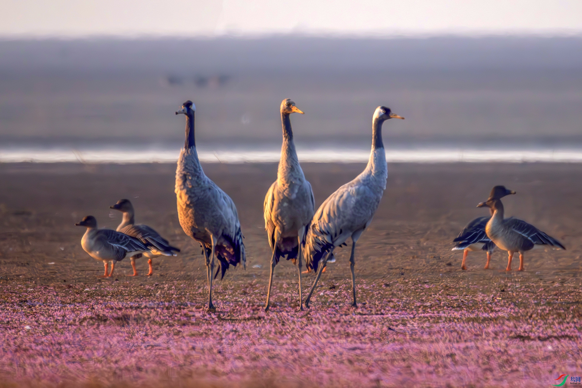 407A4261----22  .jpg