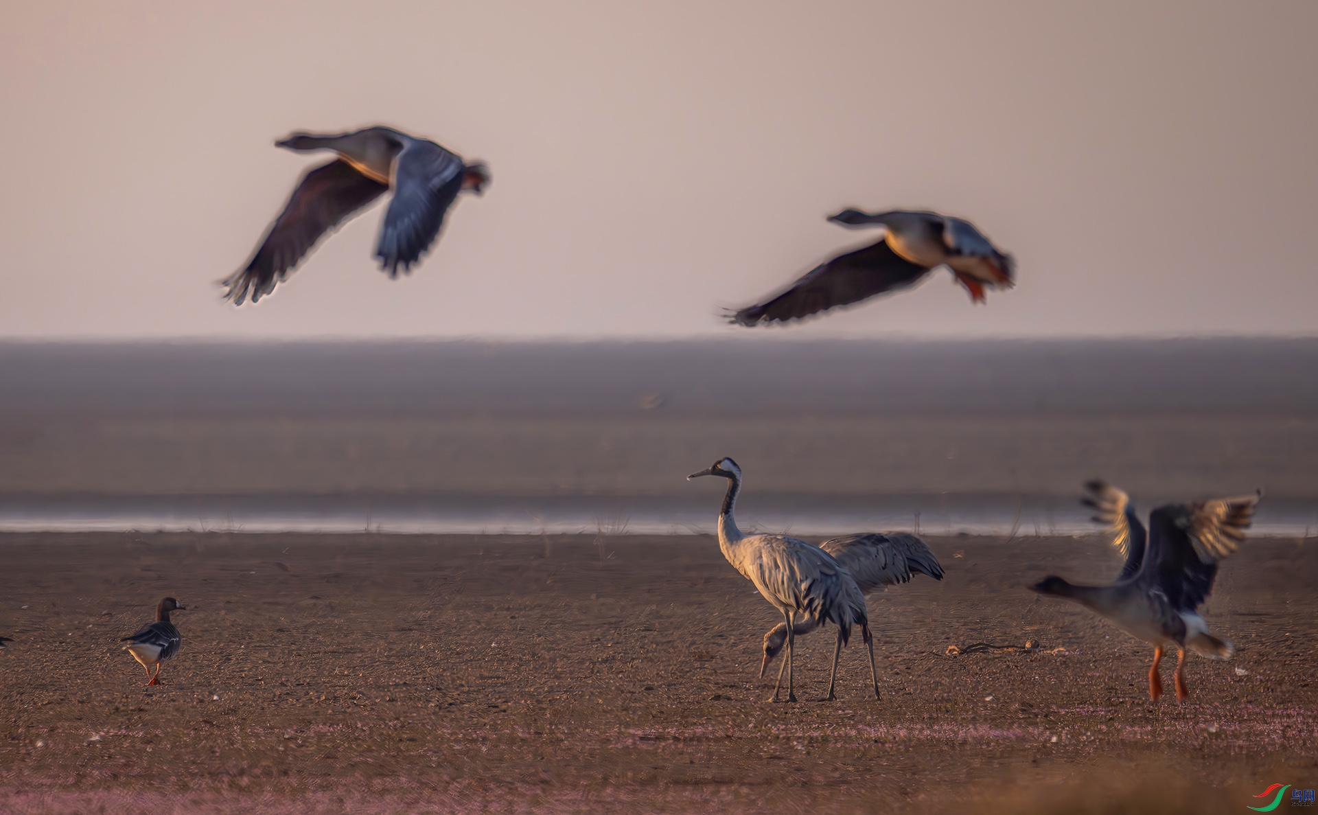 407A5116-----33  .jpg