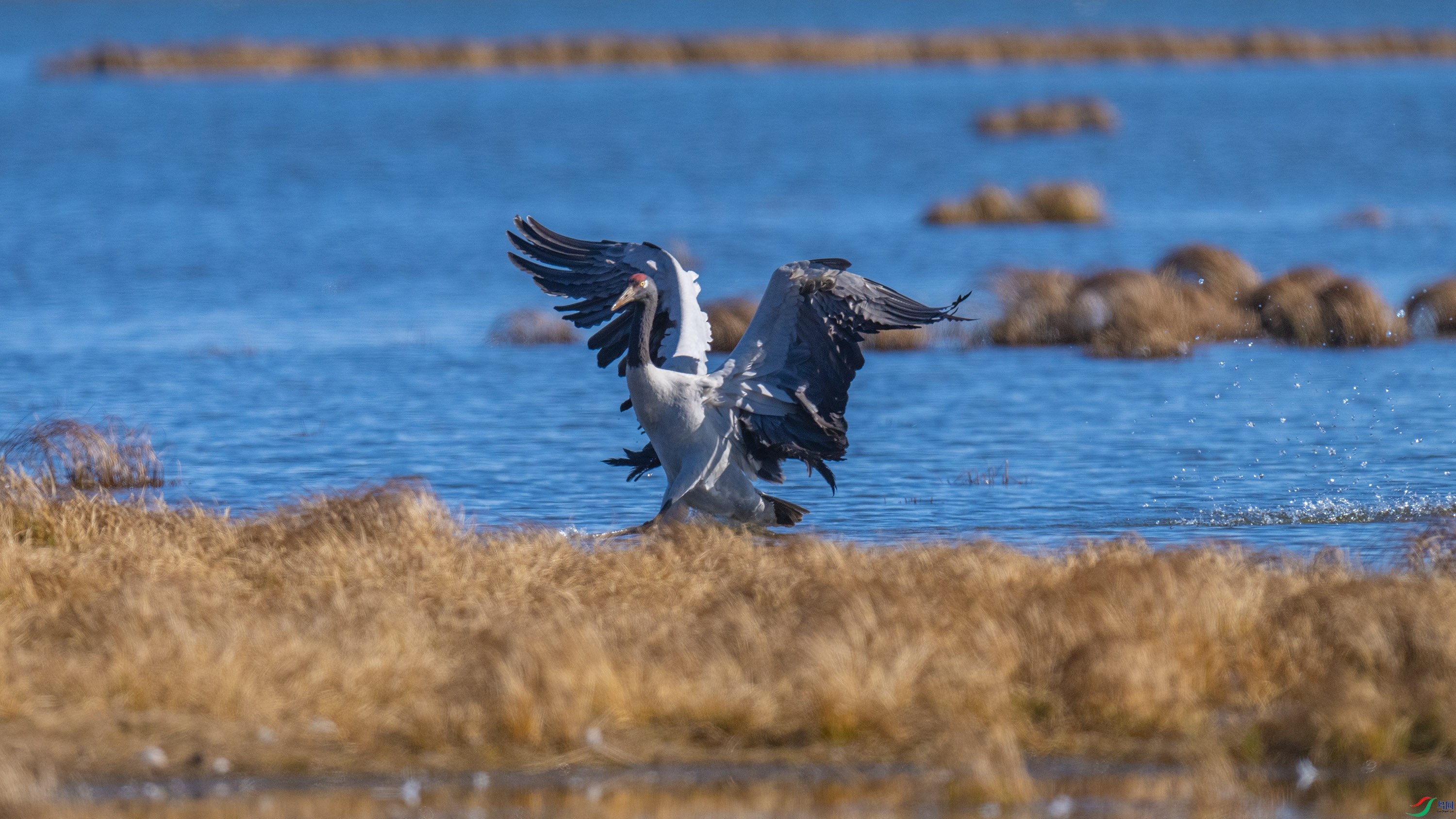 �ھ��� (24).jpg