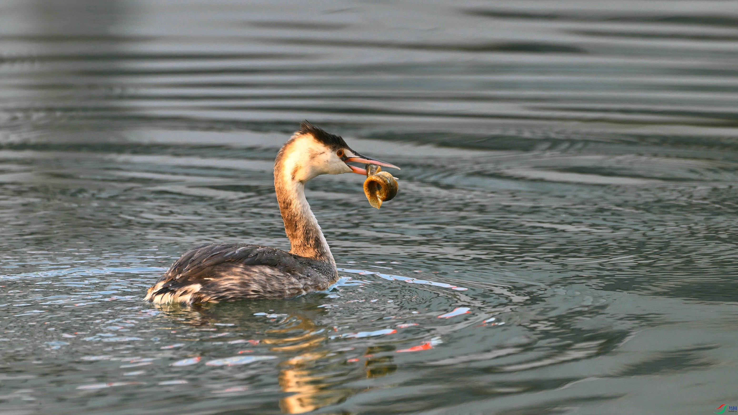 DSC_0624.JPG